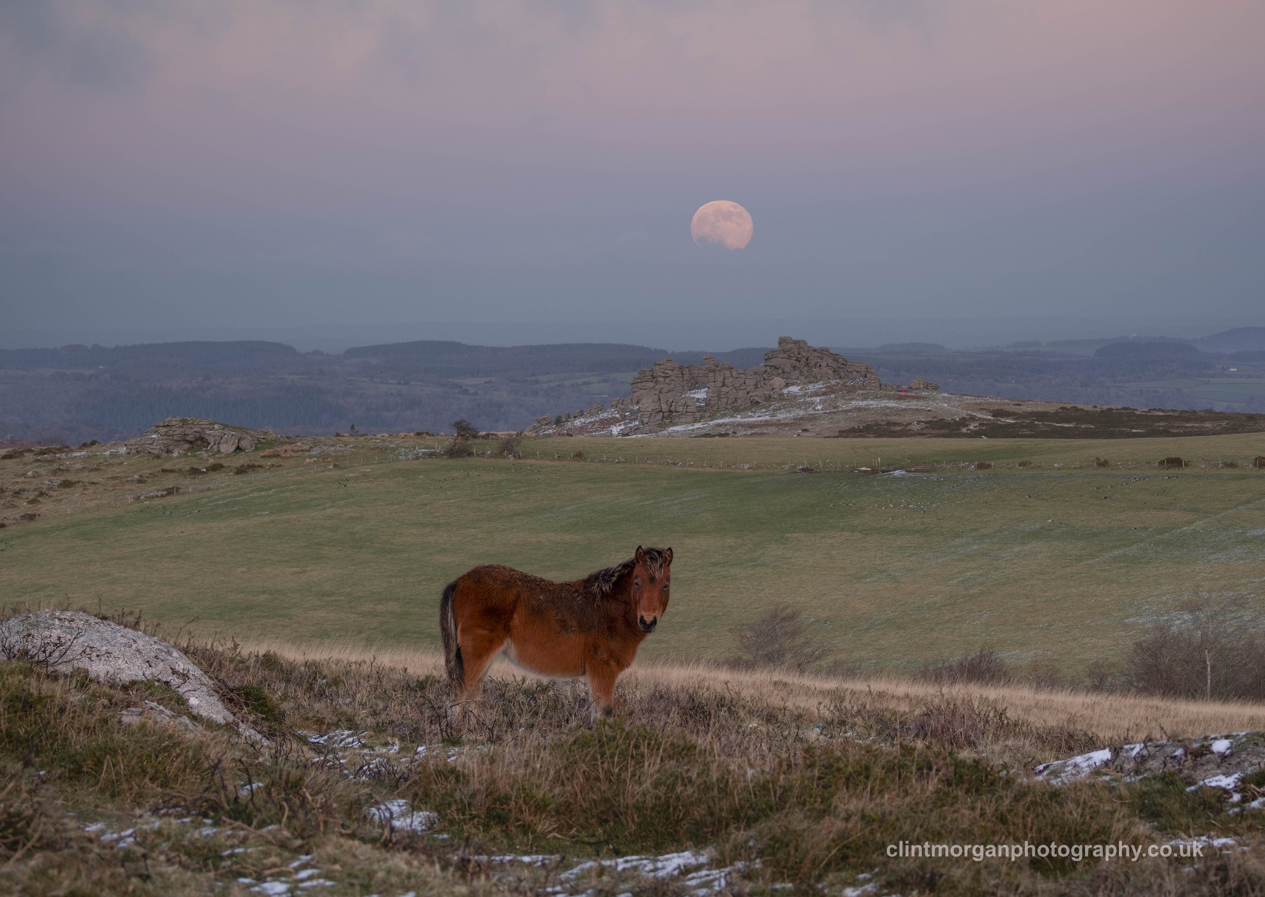 Hound Tor Moonrise