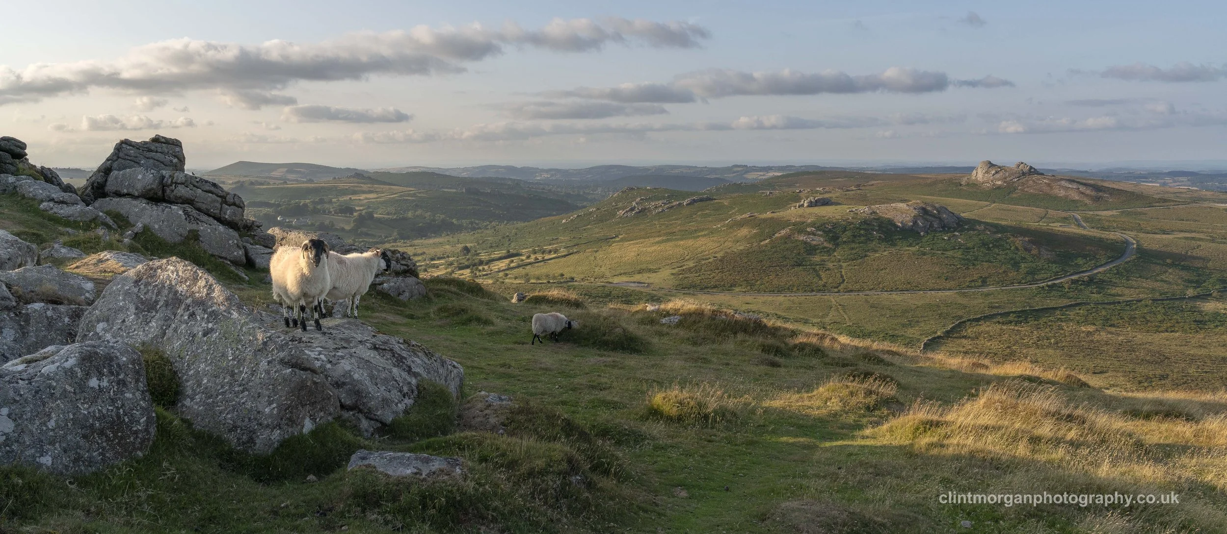 Rippon Tor