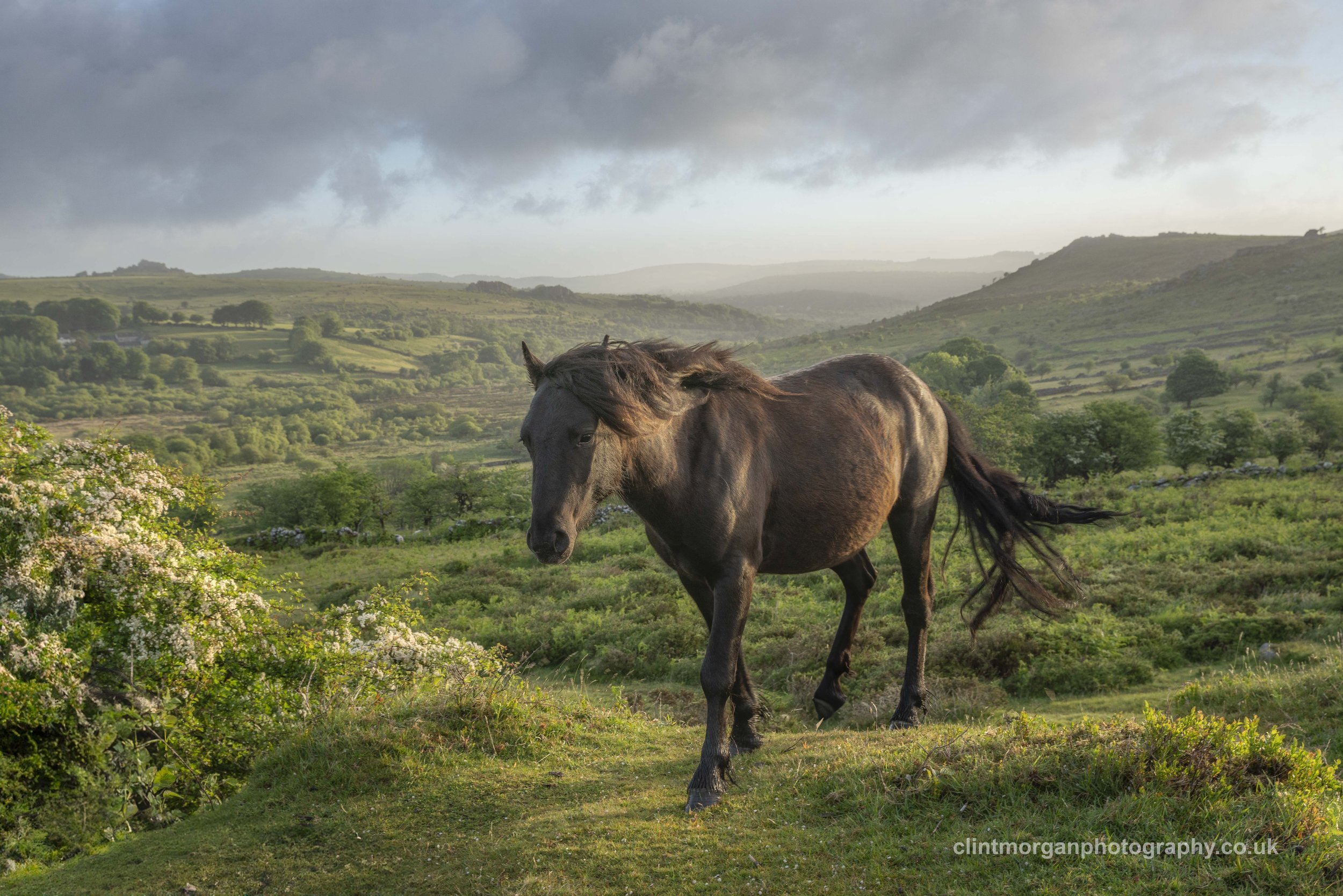 Holwell Valley