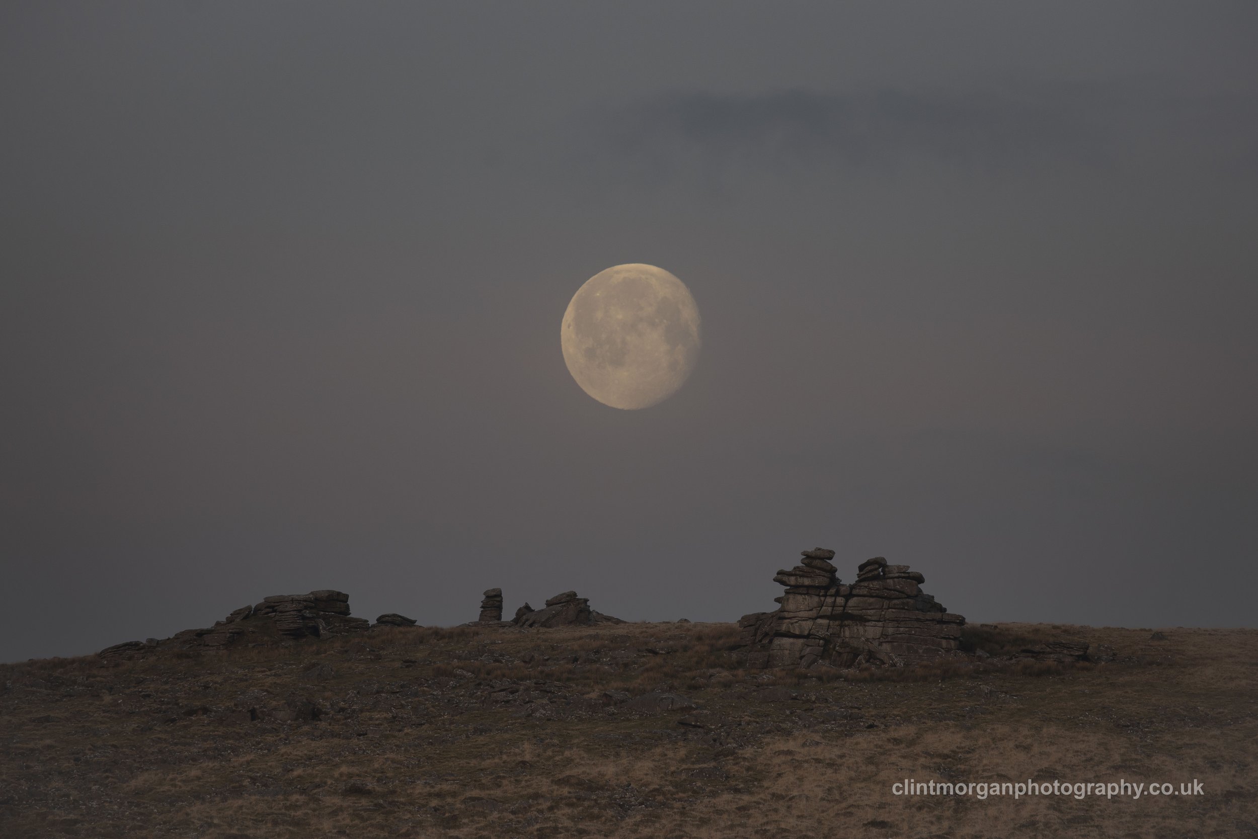 Moorland Moon