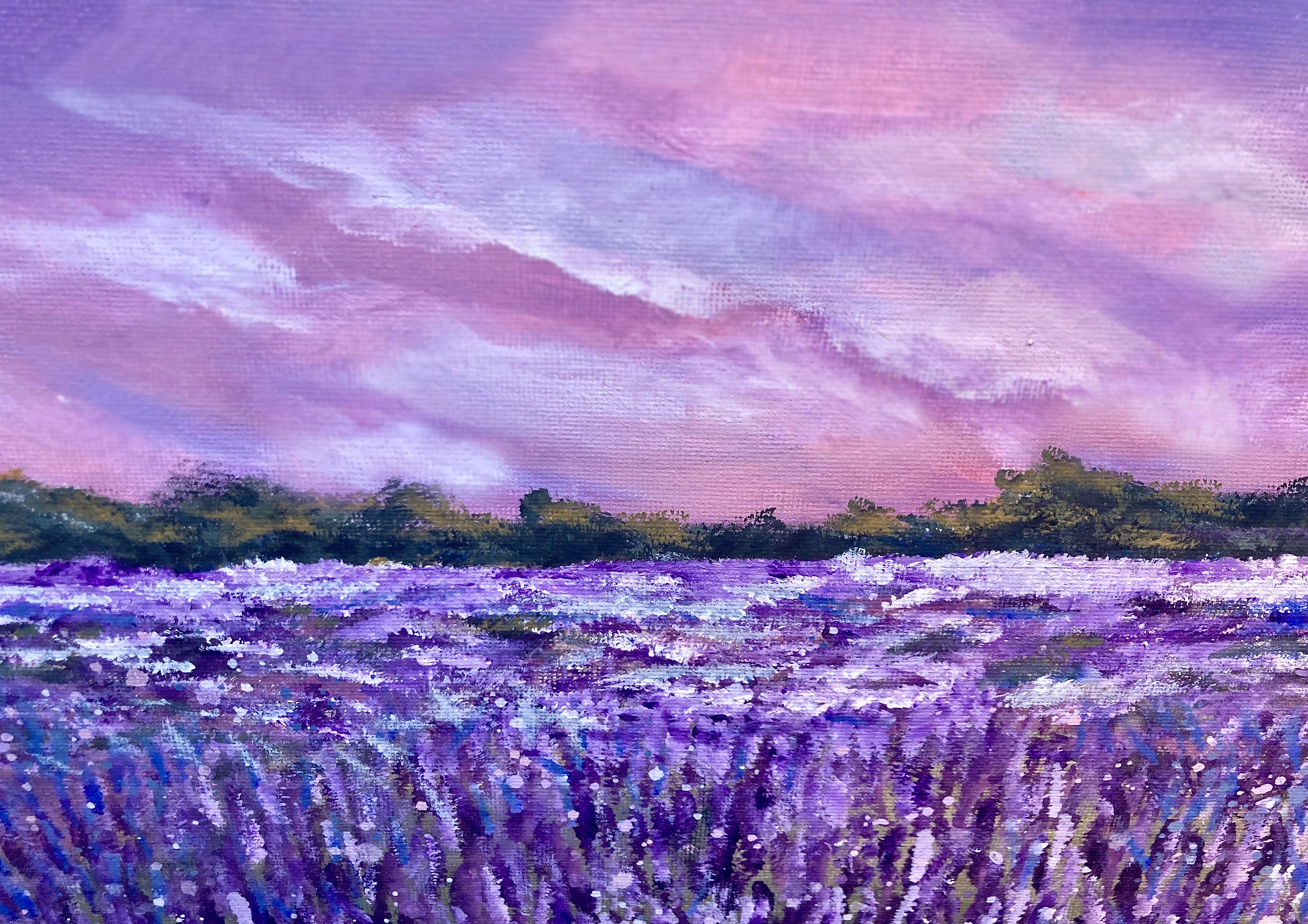 Lavender Field motif.jpg