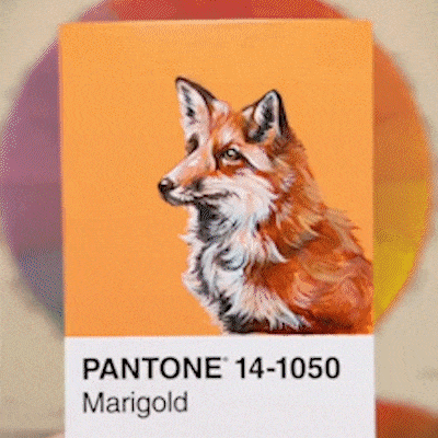 FoxMiniPainting-SocialVideoCard.gif