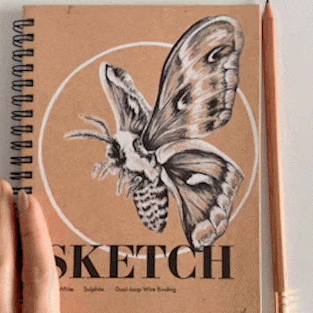 Sketchbooks-InstagramPost-Optimized.gif