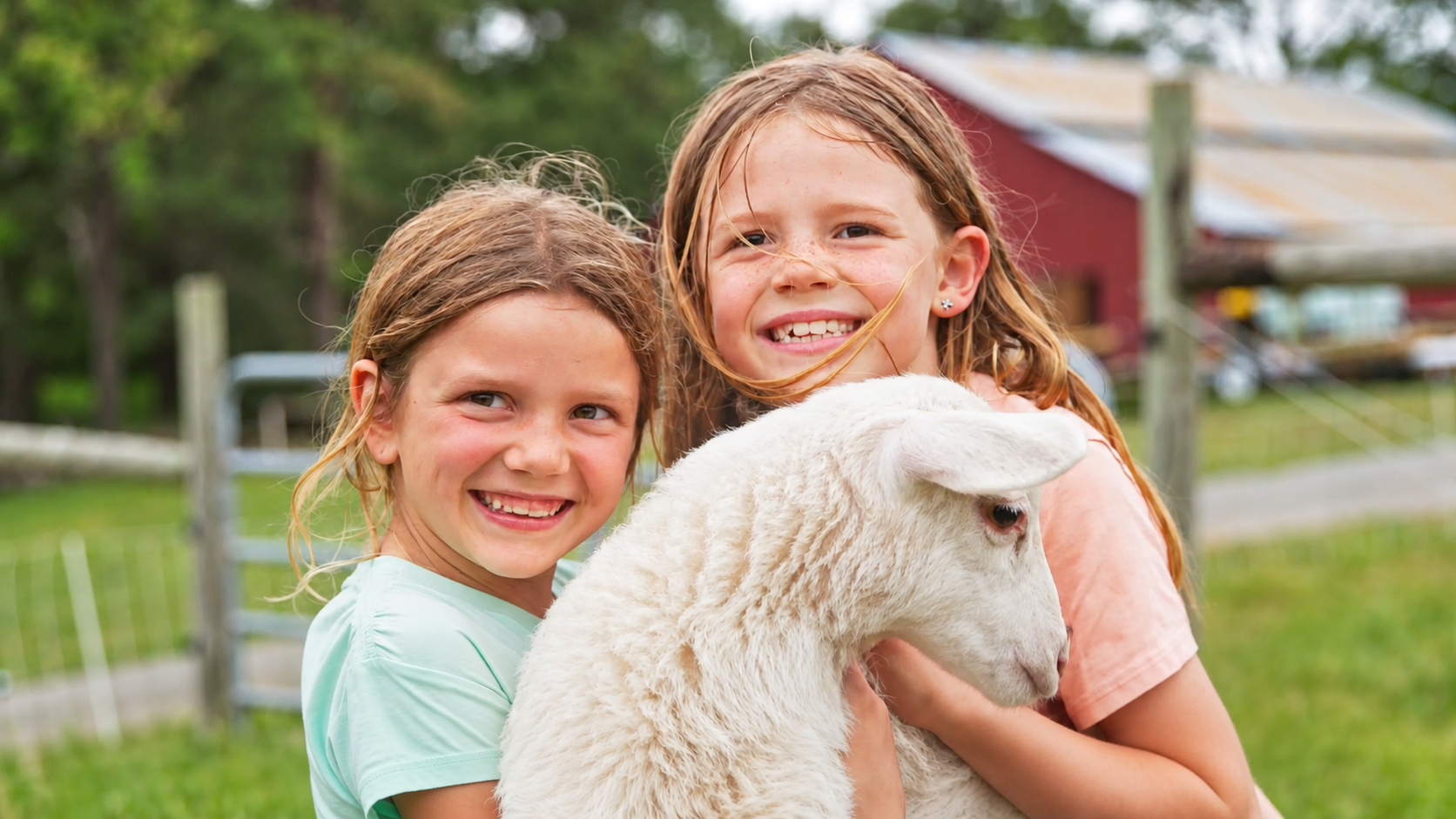 Little Biggest Maverick Farmers