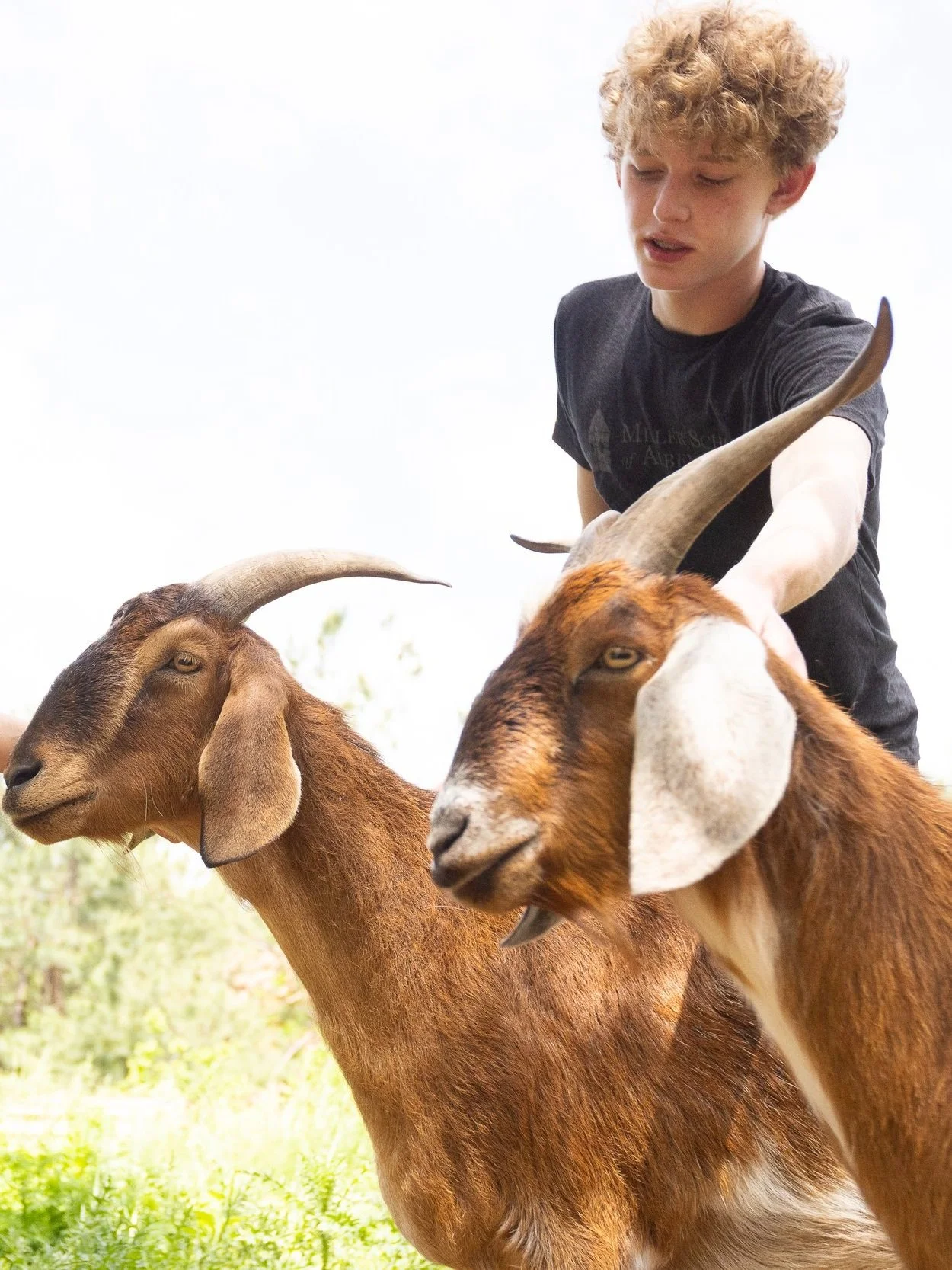 miller-school-top-private-school-virginia