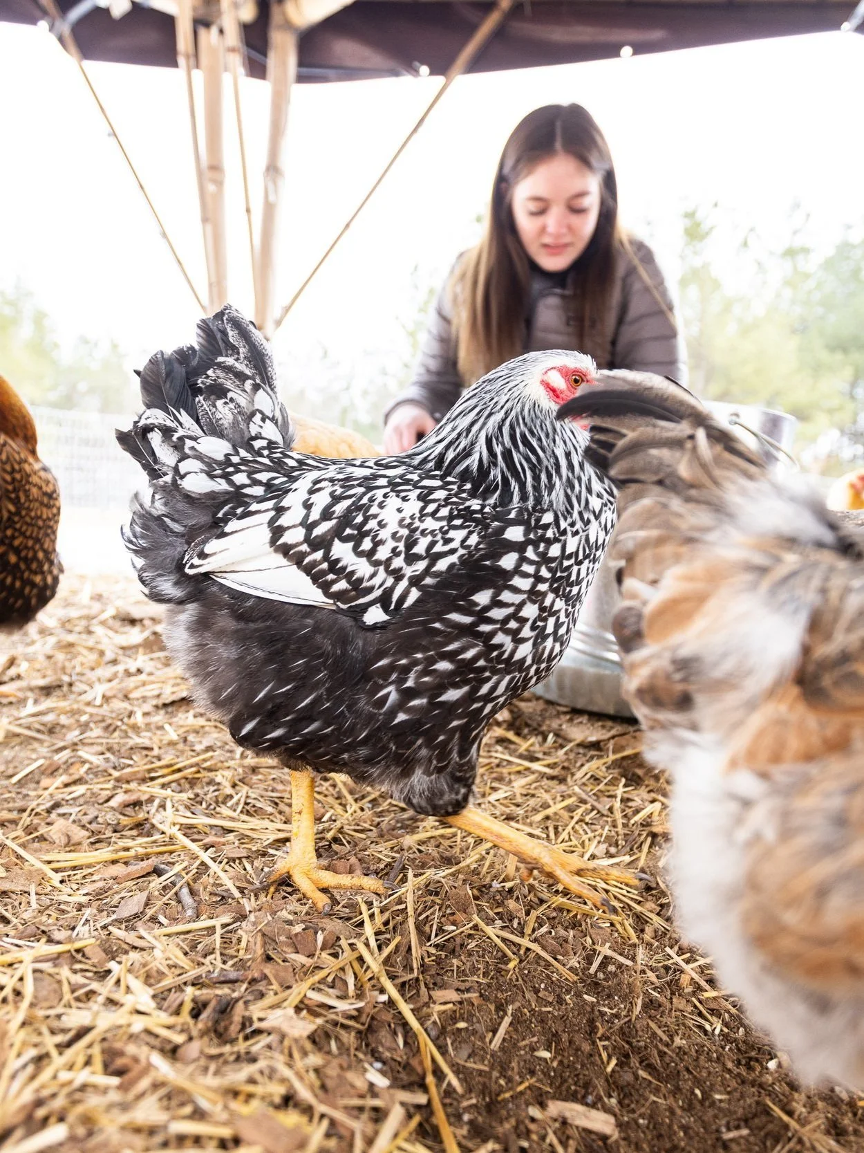 MSA Farm to table 1feb22 JLooney-_LR519780010.jpg