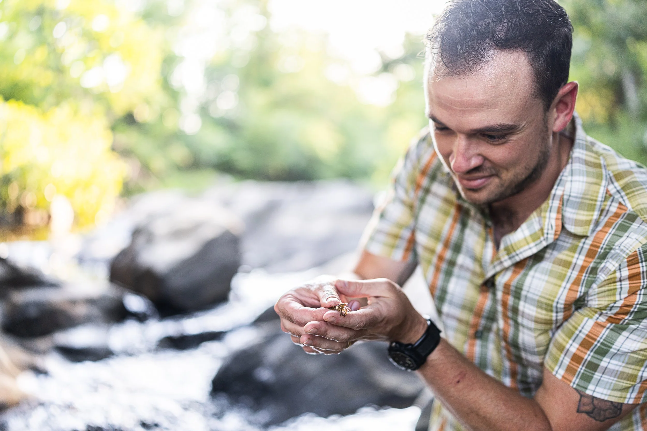 Uncovering the Missing Crayfish