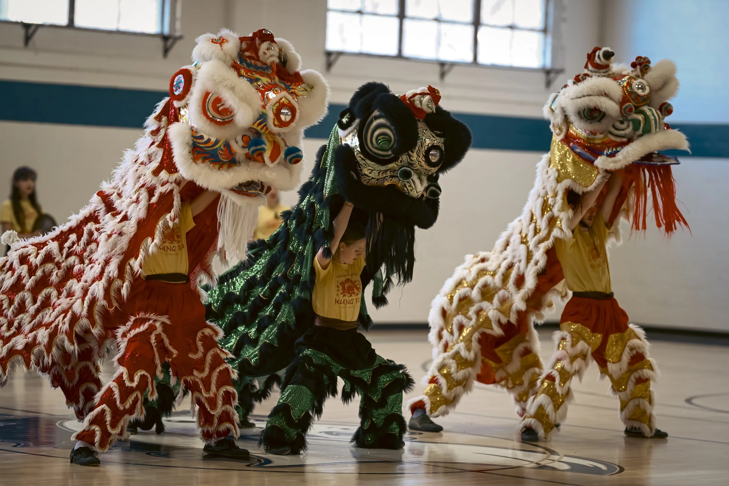 Chinese New Year Begins