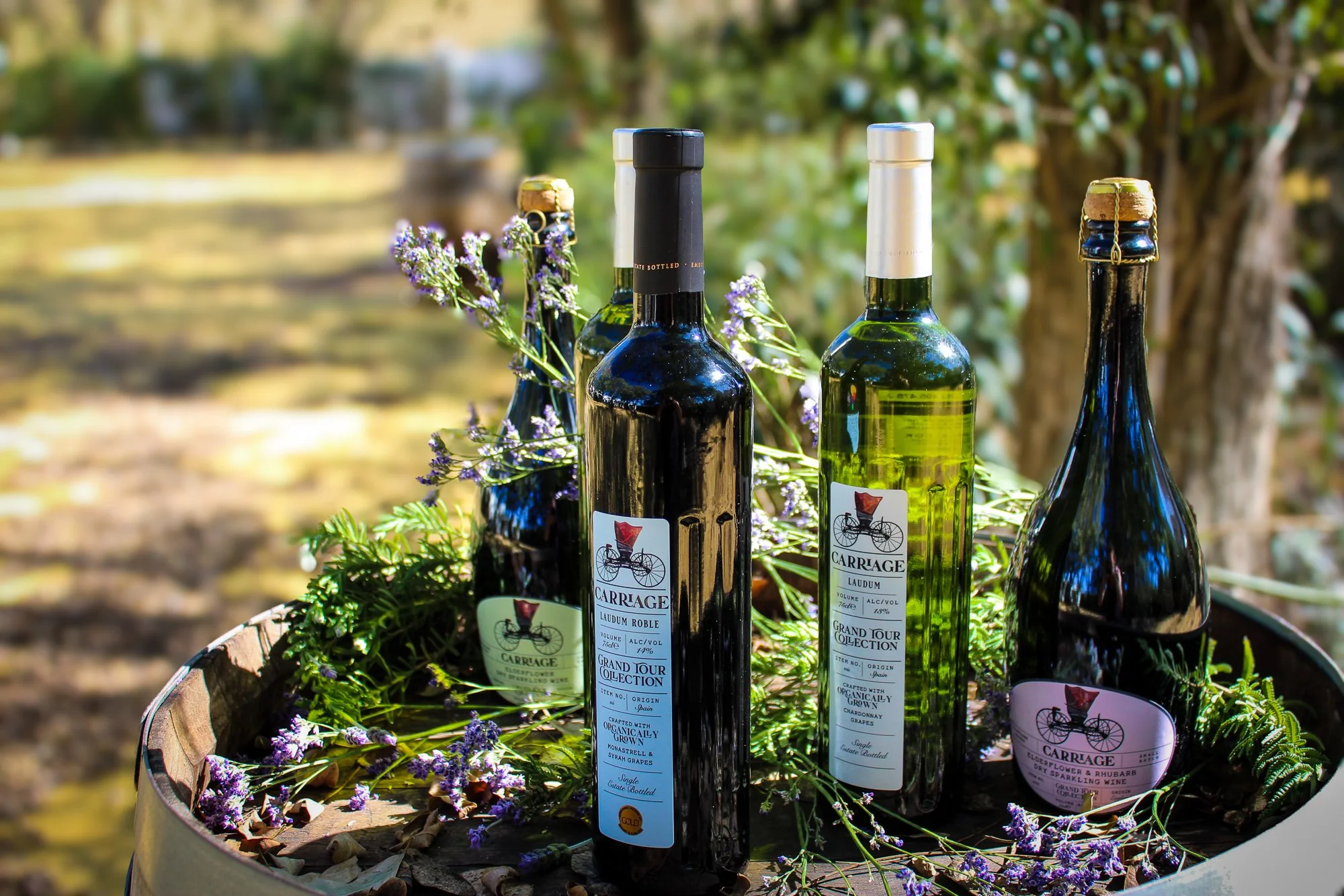 Carriage Collection Design.jpg