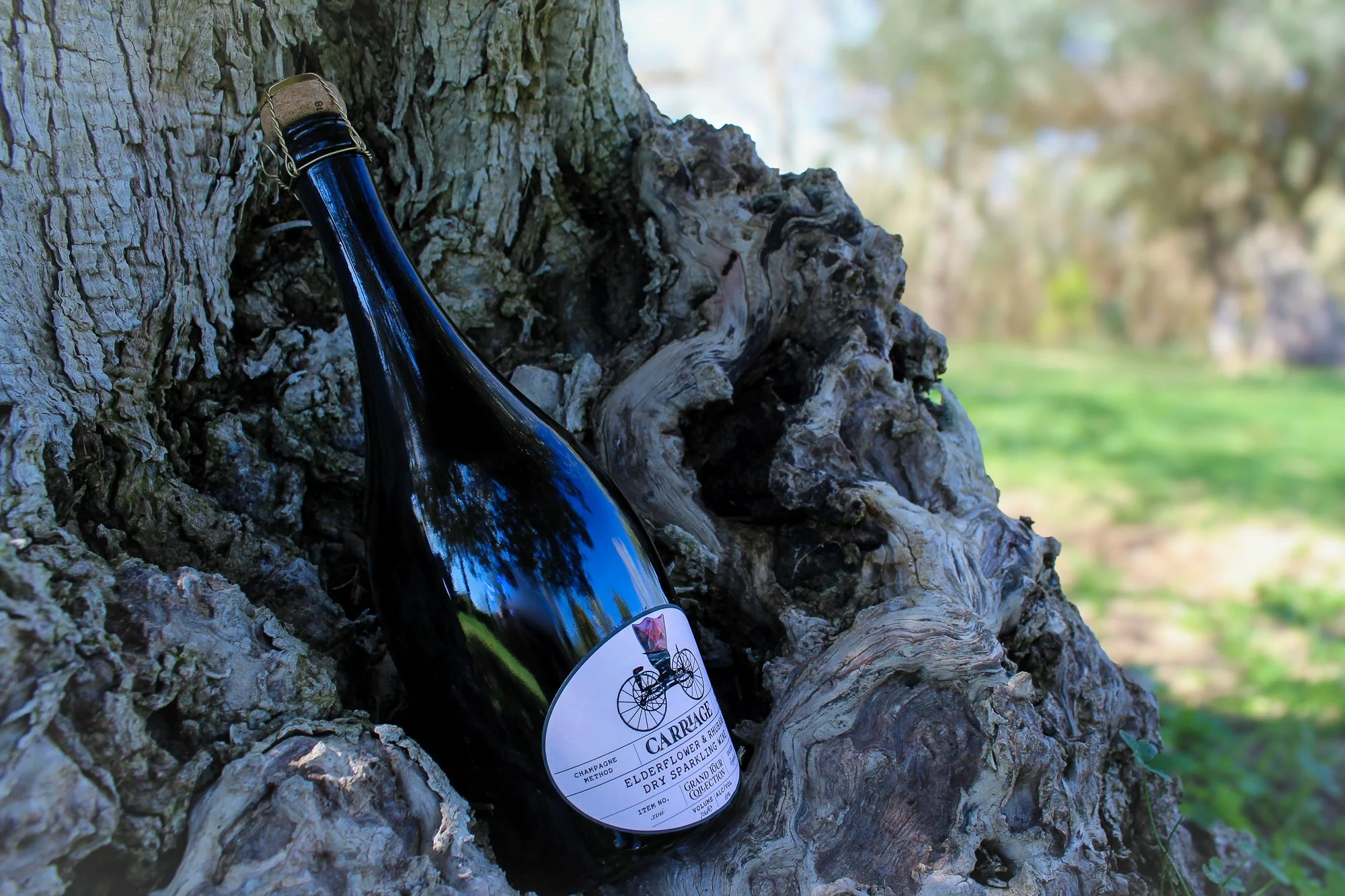 Carriage Sparkling wine Design.jpg