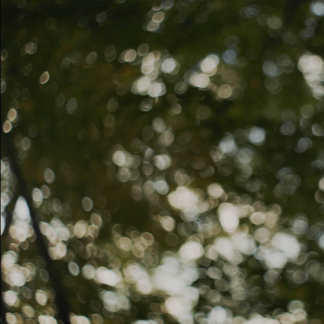 Screenshot 2023-11-23 at 6.33.06 PM.png