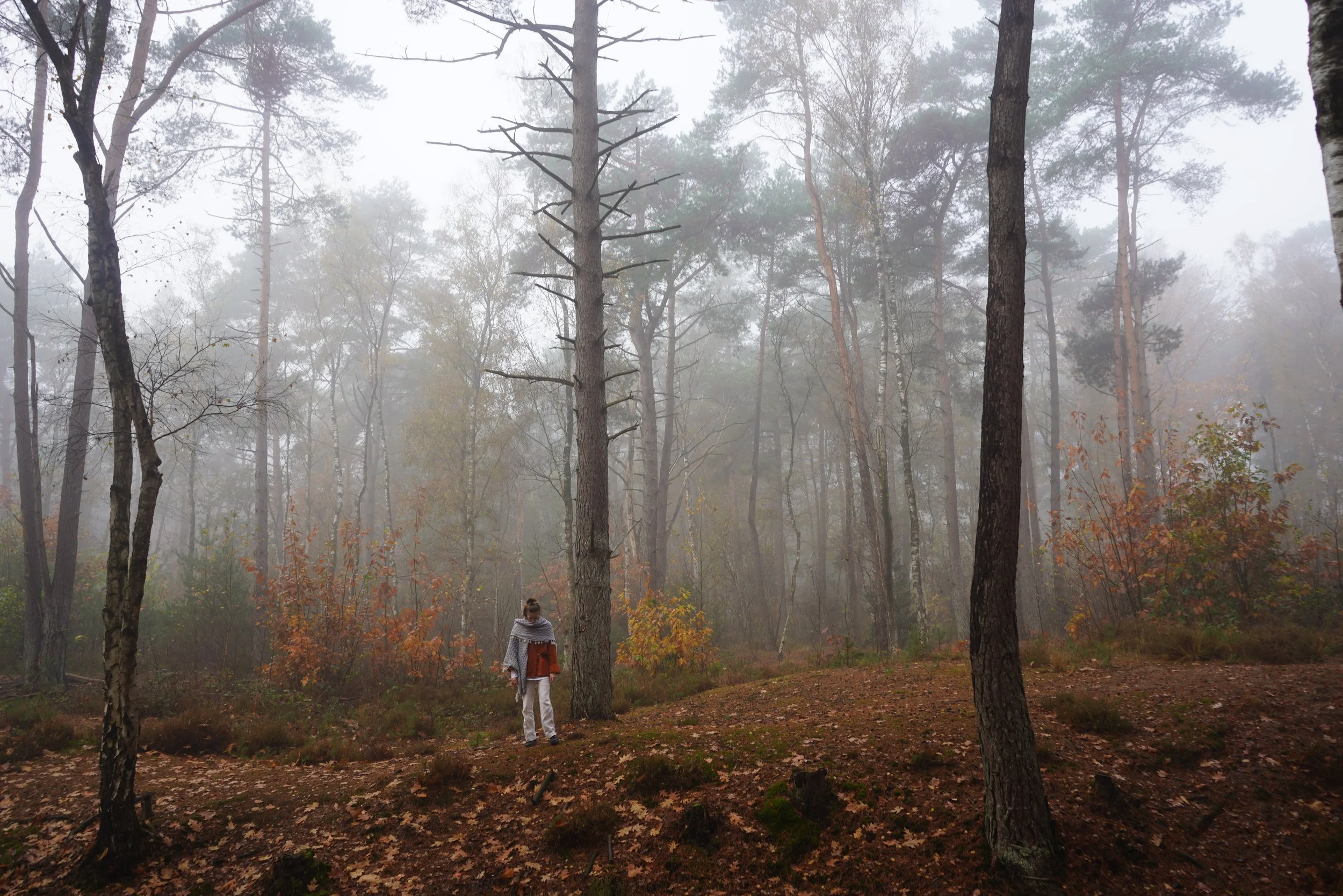 Portret in de natuur: figuur in een mistig herfstbos
