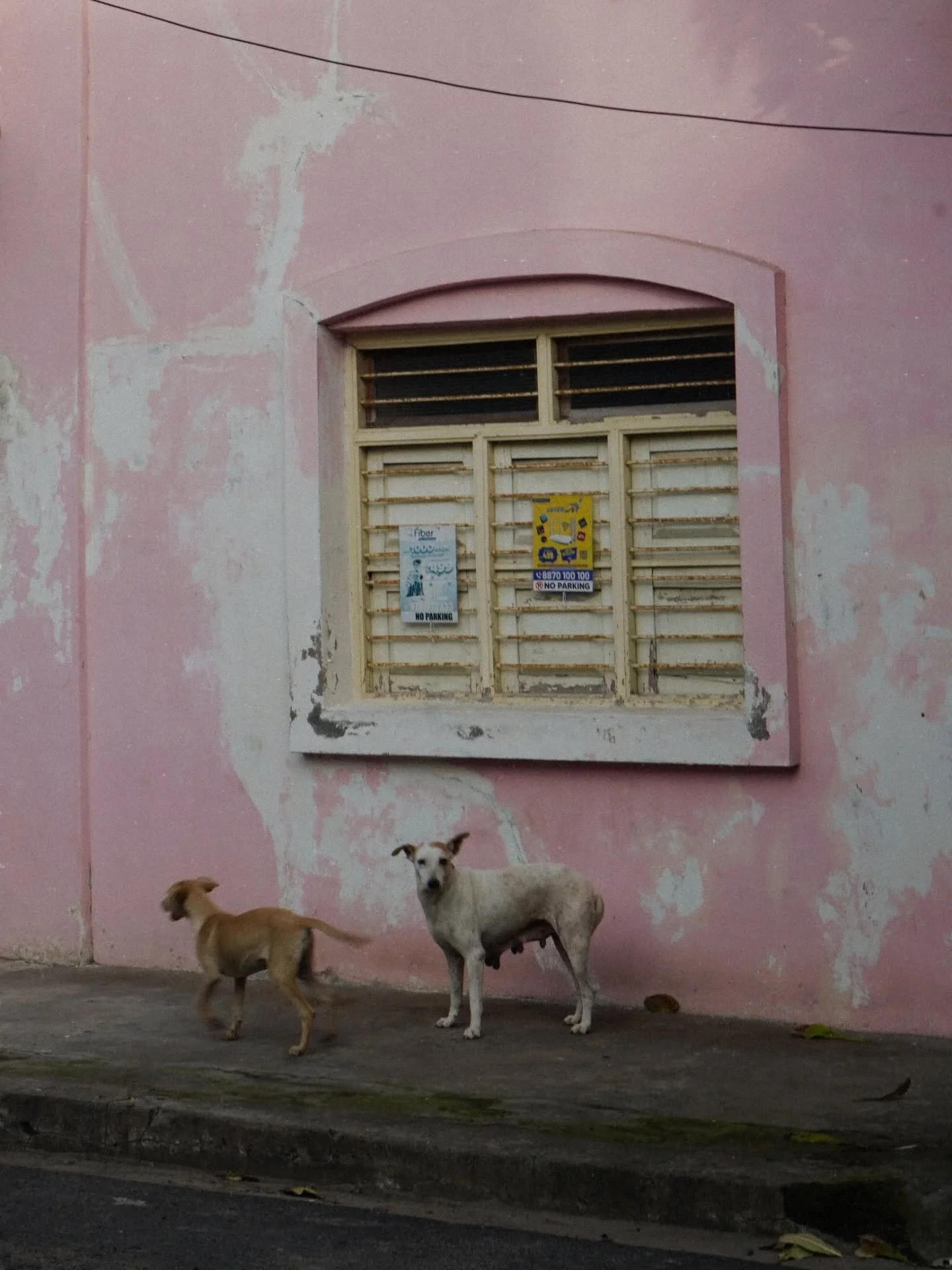 India 2025 

#streetphotography #india #photography #photooftheday #mumbai