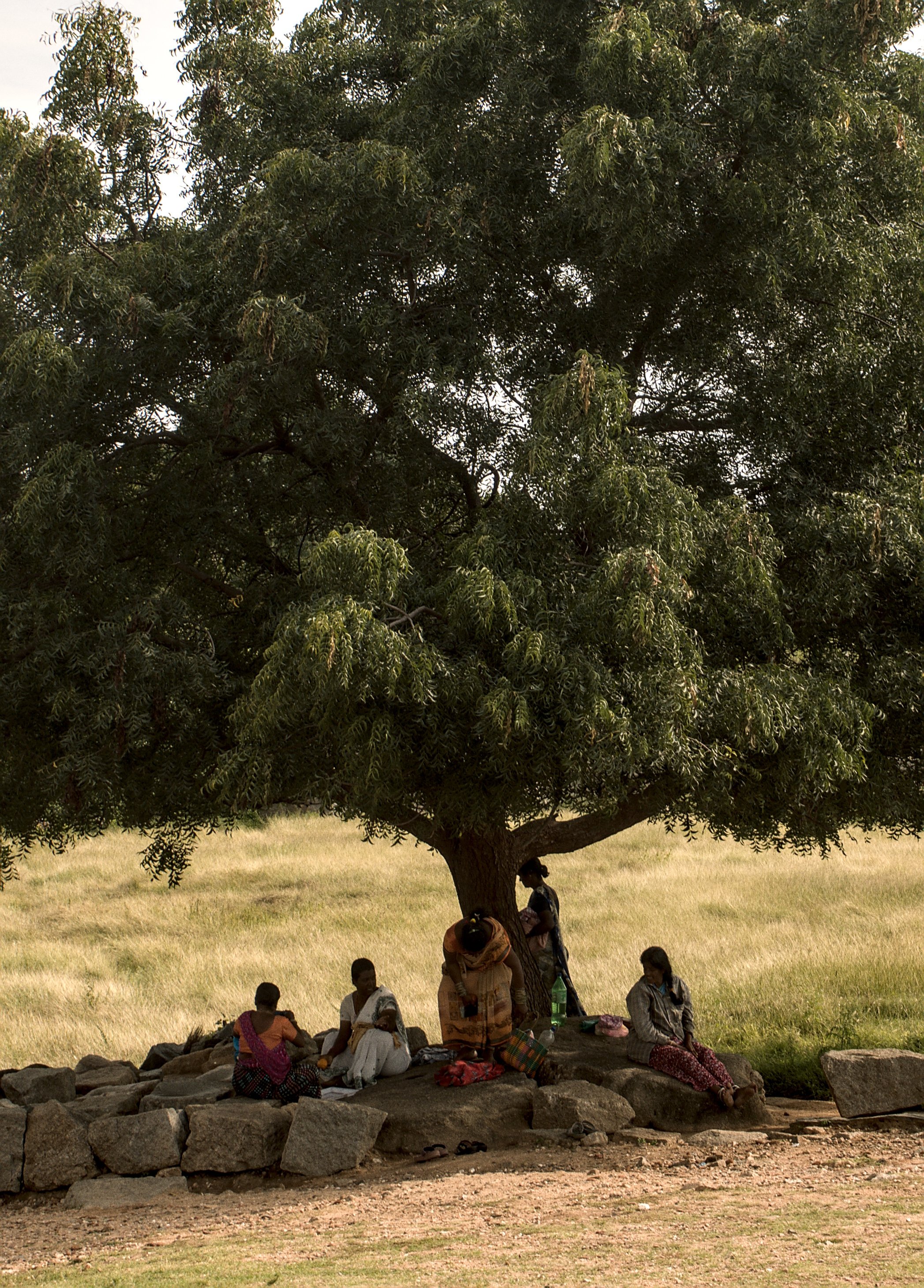 Reisfotografie India, vrouwen onder een boom