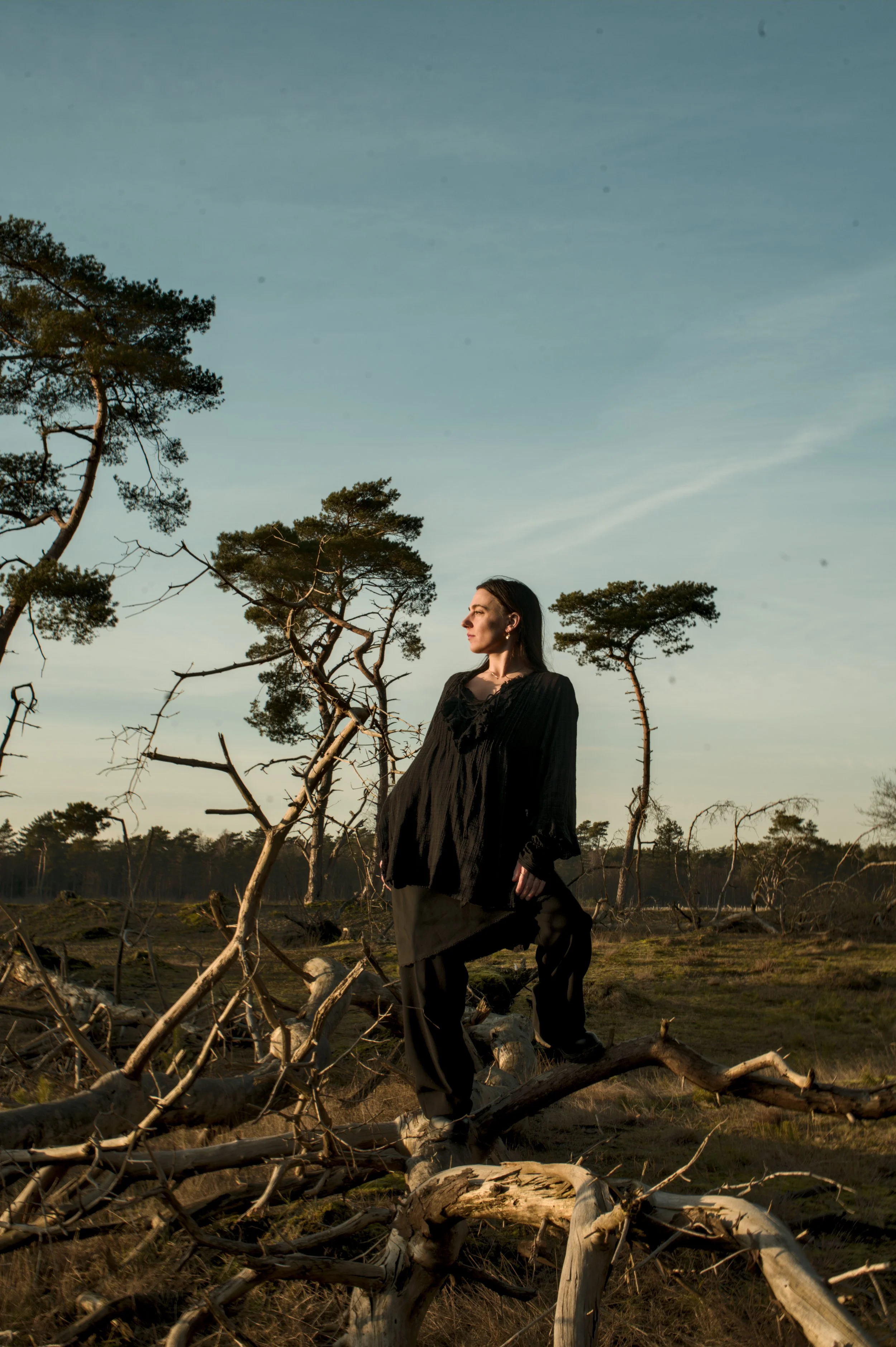 Portret in de natuur: vrouw in zwarte kleding op een omgevallen boom tussen de dennen