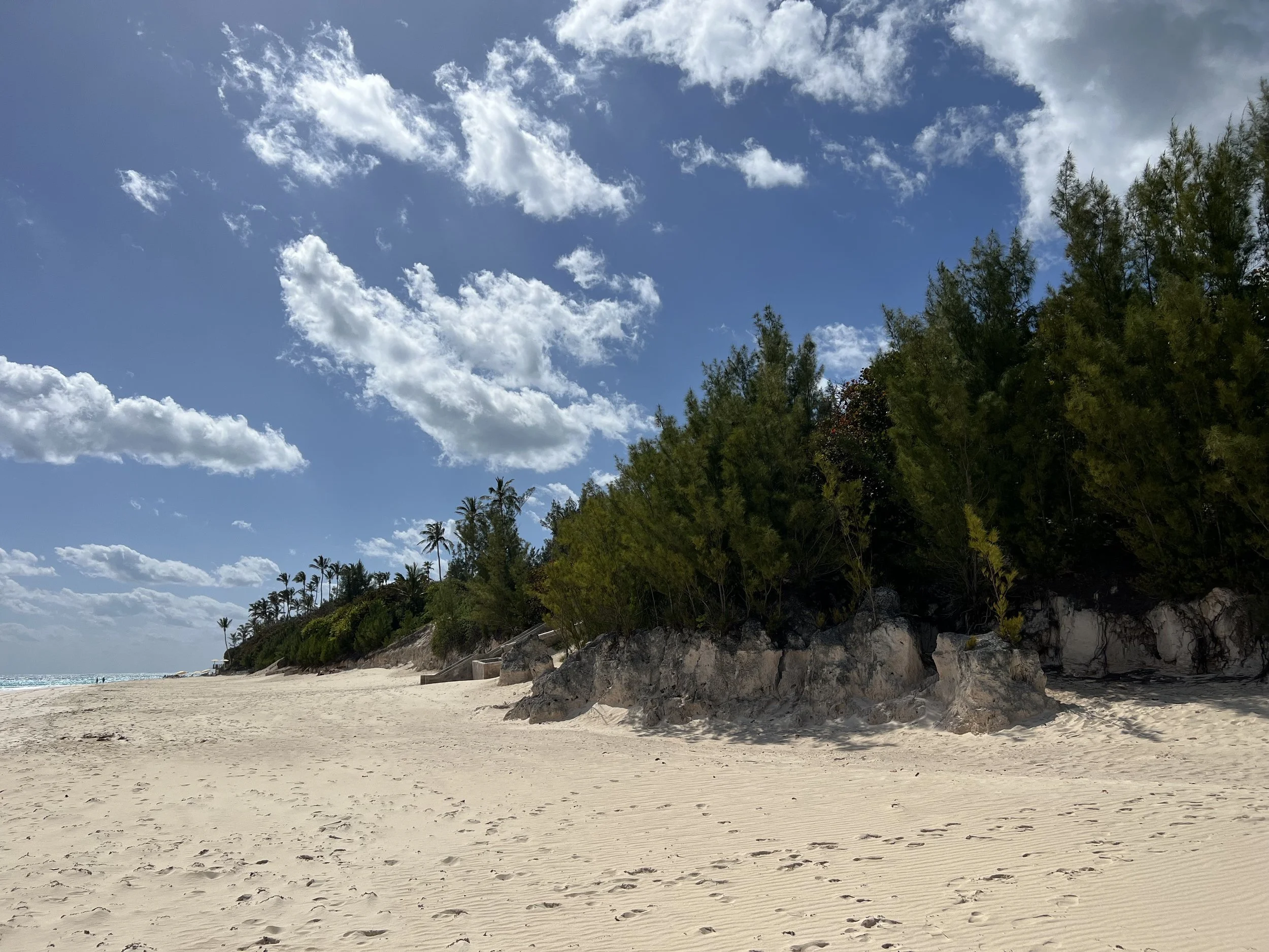 Contemplative Practice