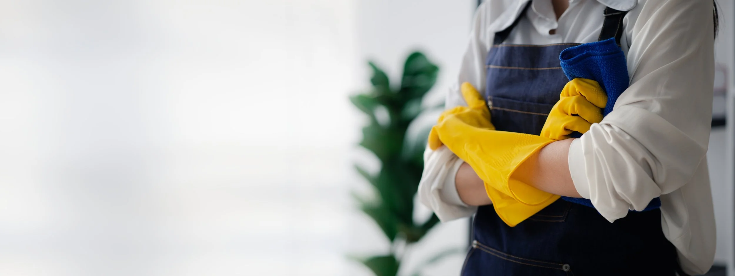 Sparkling Clean Professional Cleaning Services