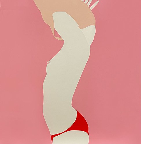 VC-NL-Red-Details-on-Pink.jpeg