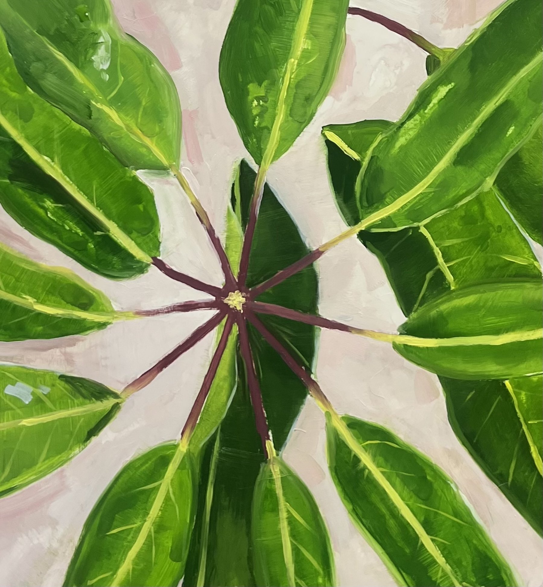 Holland Cunningham | A View from the Garden