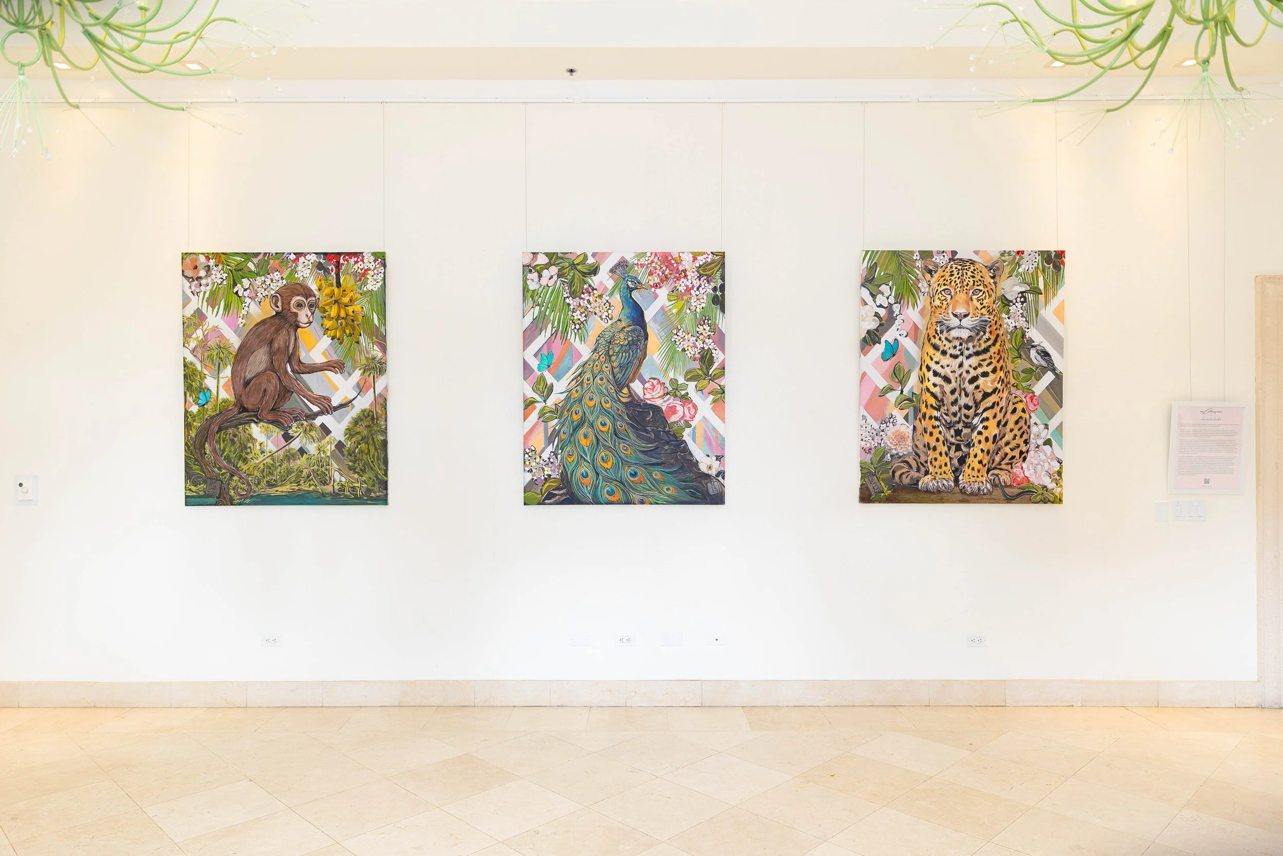 Mark Boomershine | FERUS LUXE