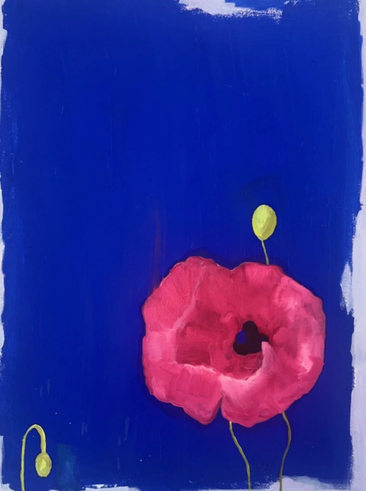 Holland Cunningham, Poppy on Blue, 2023, Oil and pigment on canvas, 35 x 25 inches