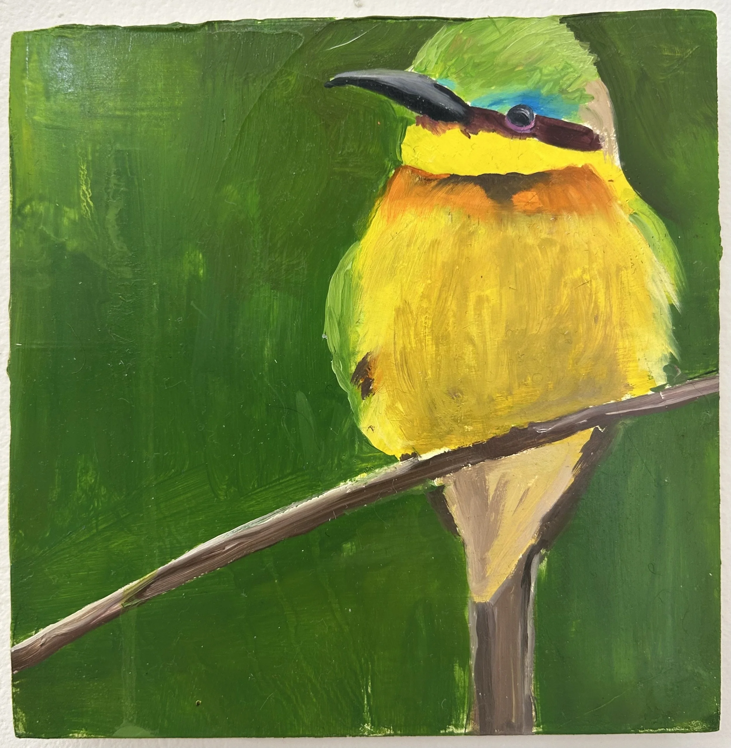 Holland Cunningham, Bee Eater, 2026, Oil on board, 6 x 6 inches