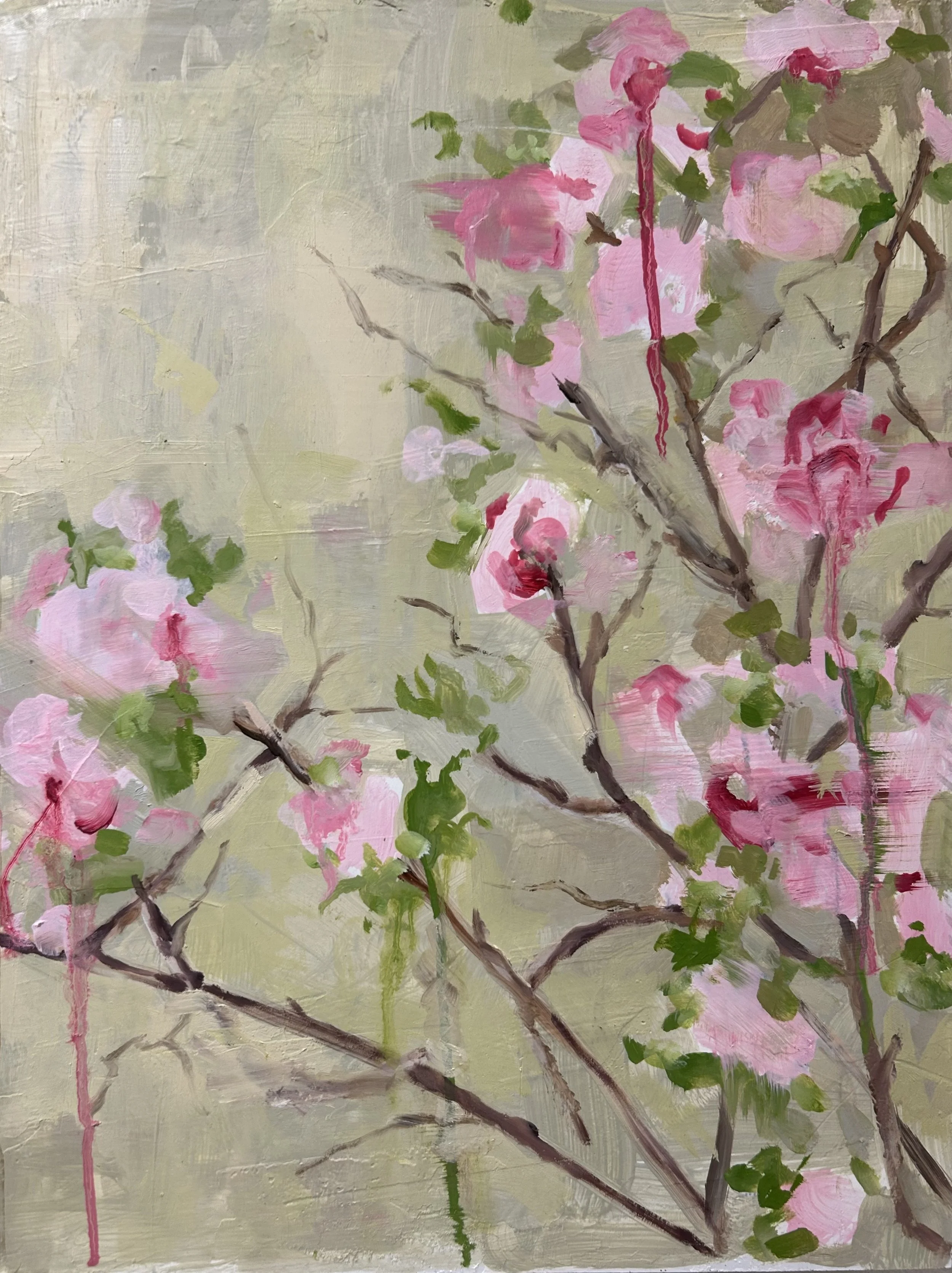 Holland Cunningham, Cherry Blossoms, 2025, Oil on board, 16 x 12 inches