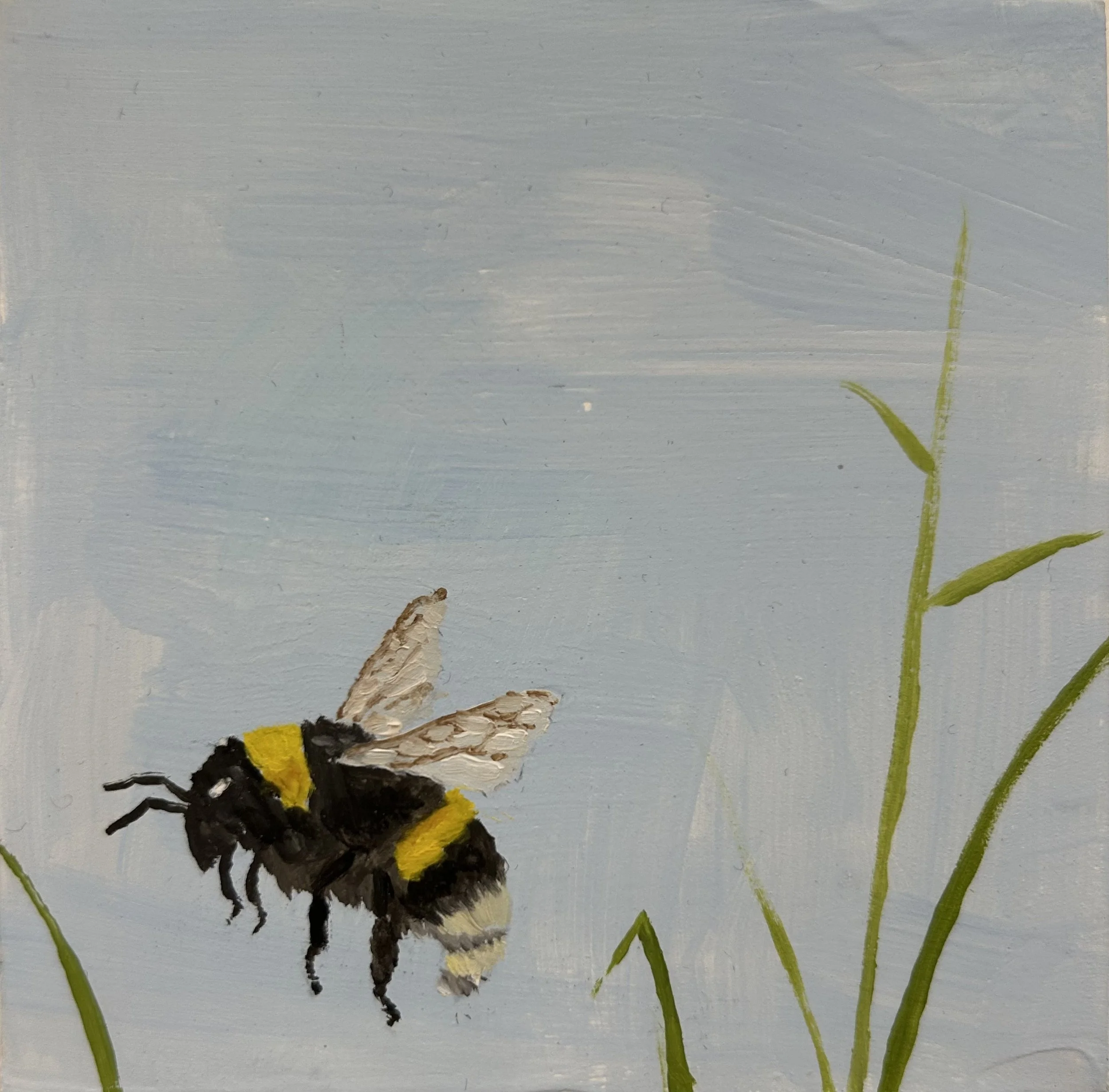 Holland Cunningham, Bumble, 2026, Oil on board, 4 x 4 inches