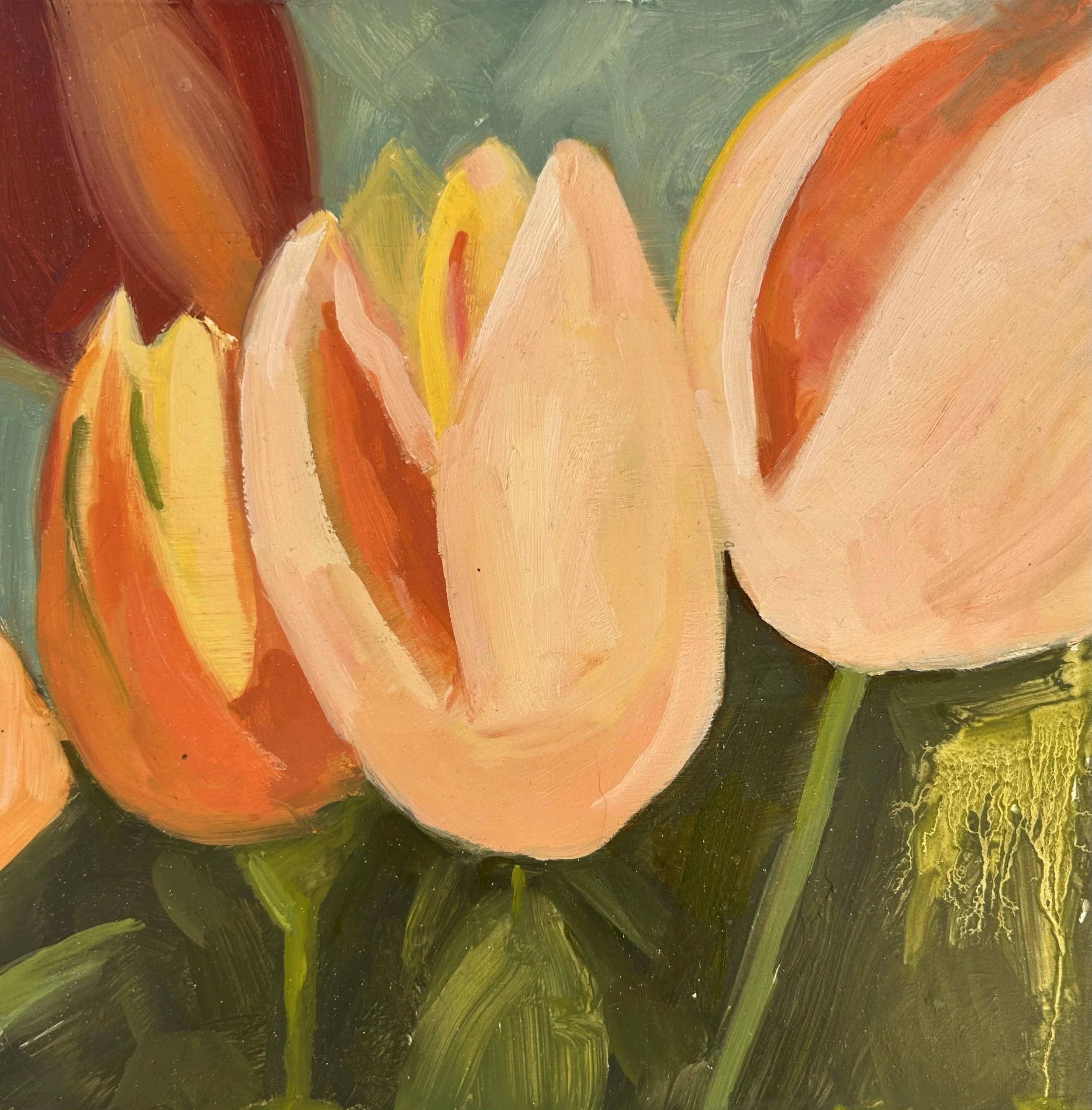 Holland Cunningham, Cy's Tulips, 2024, Oil on board, 8 x 8 inches