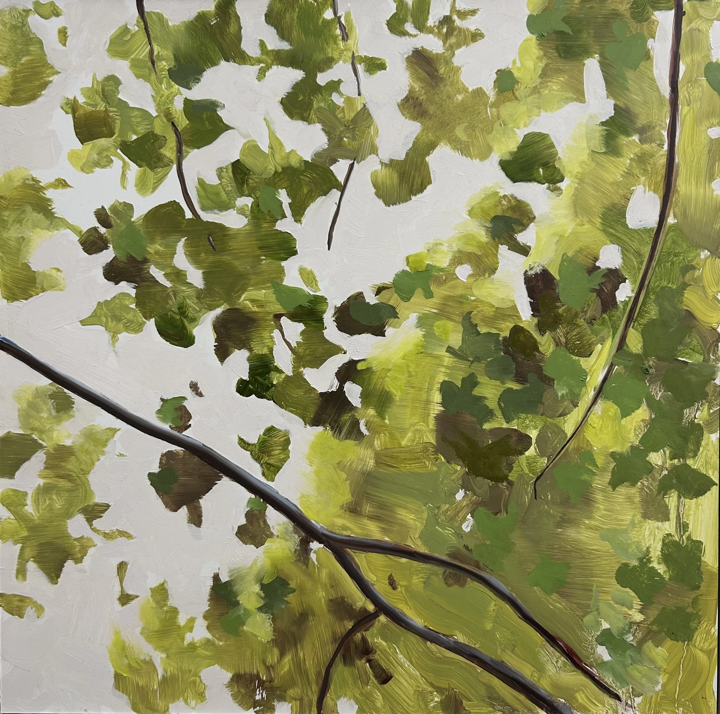 Holland Cunningham, Daydream, 2024-2025, Oil on board, 16 x 16 inches, 17 x 17 inches Framed