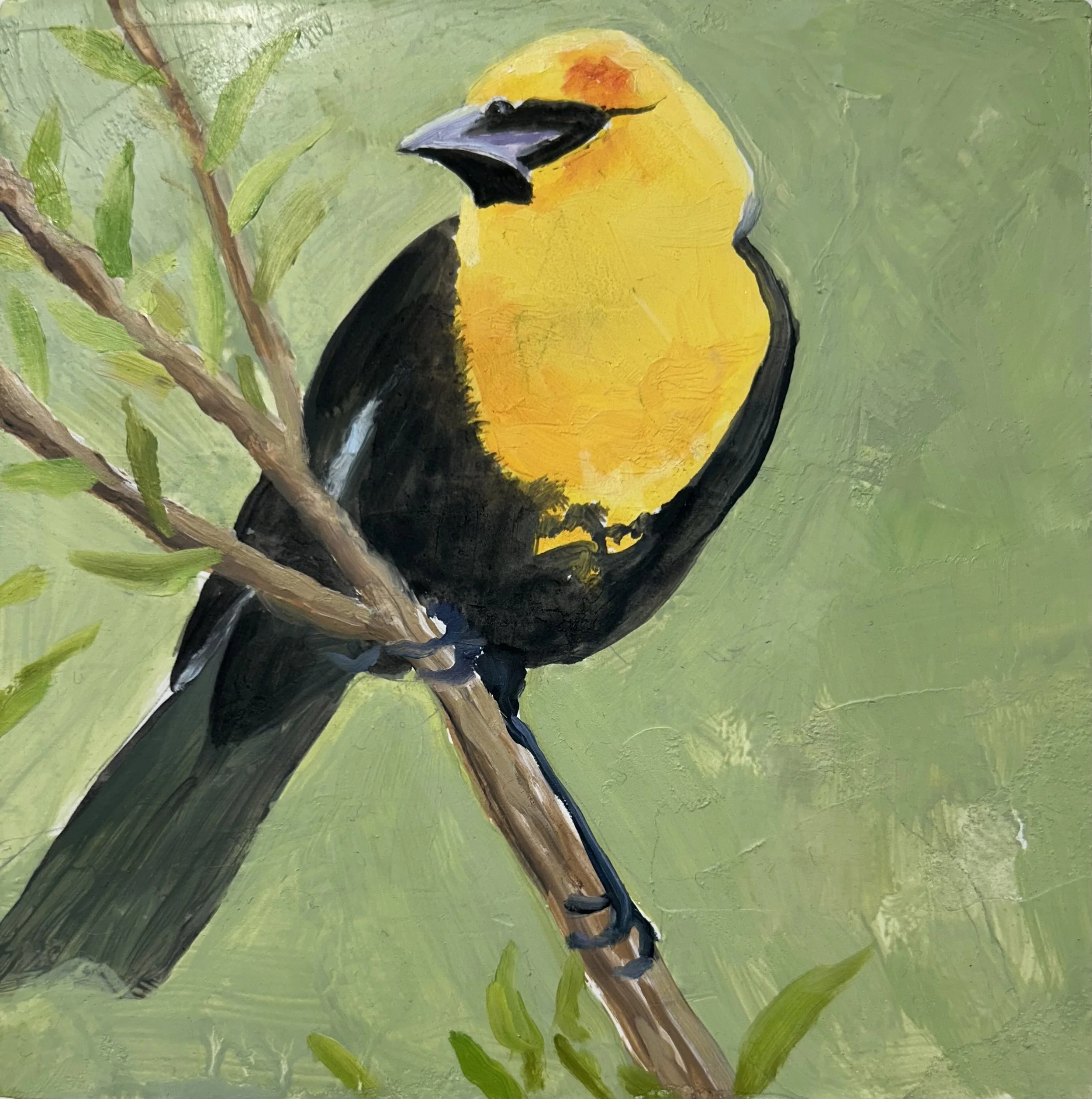 Holland Cunningham, Garden Bird I, 2026, Oil on board, 6 x 6 inches