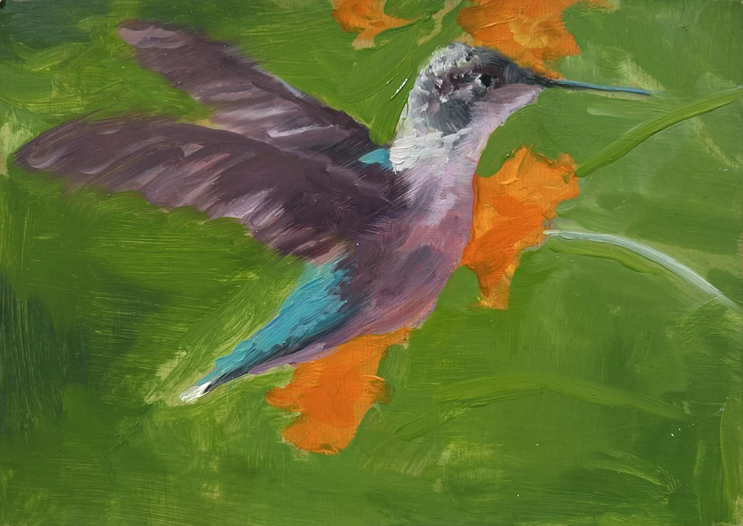 Holland Cunningham, Hummingbird, 2026, Oil on aluminum panel, 5 x 7 inches