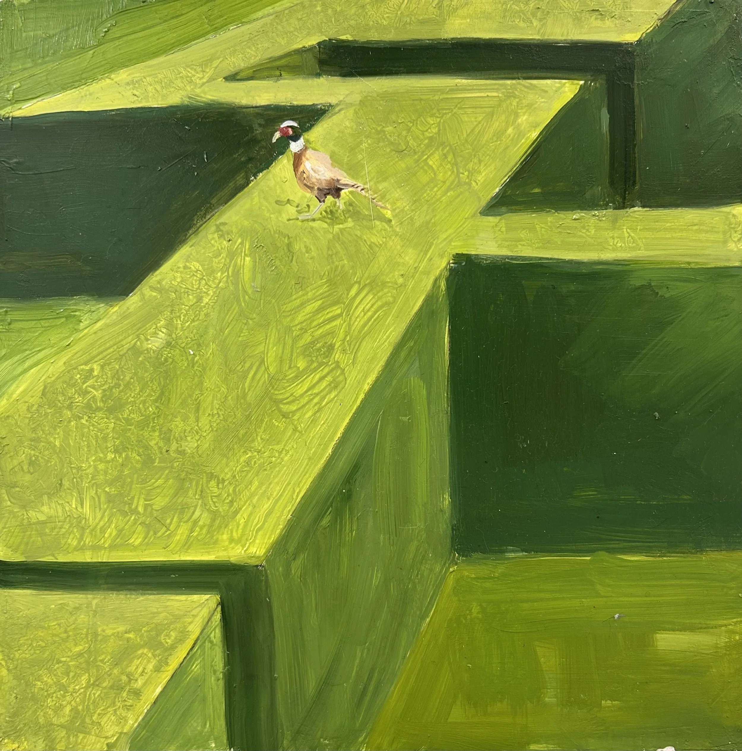 Holland Cunningham, Joe's Pheasant, 2024, Oil on board, 10 x 10 inches