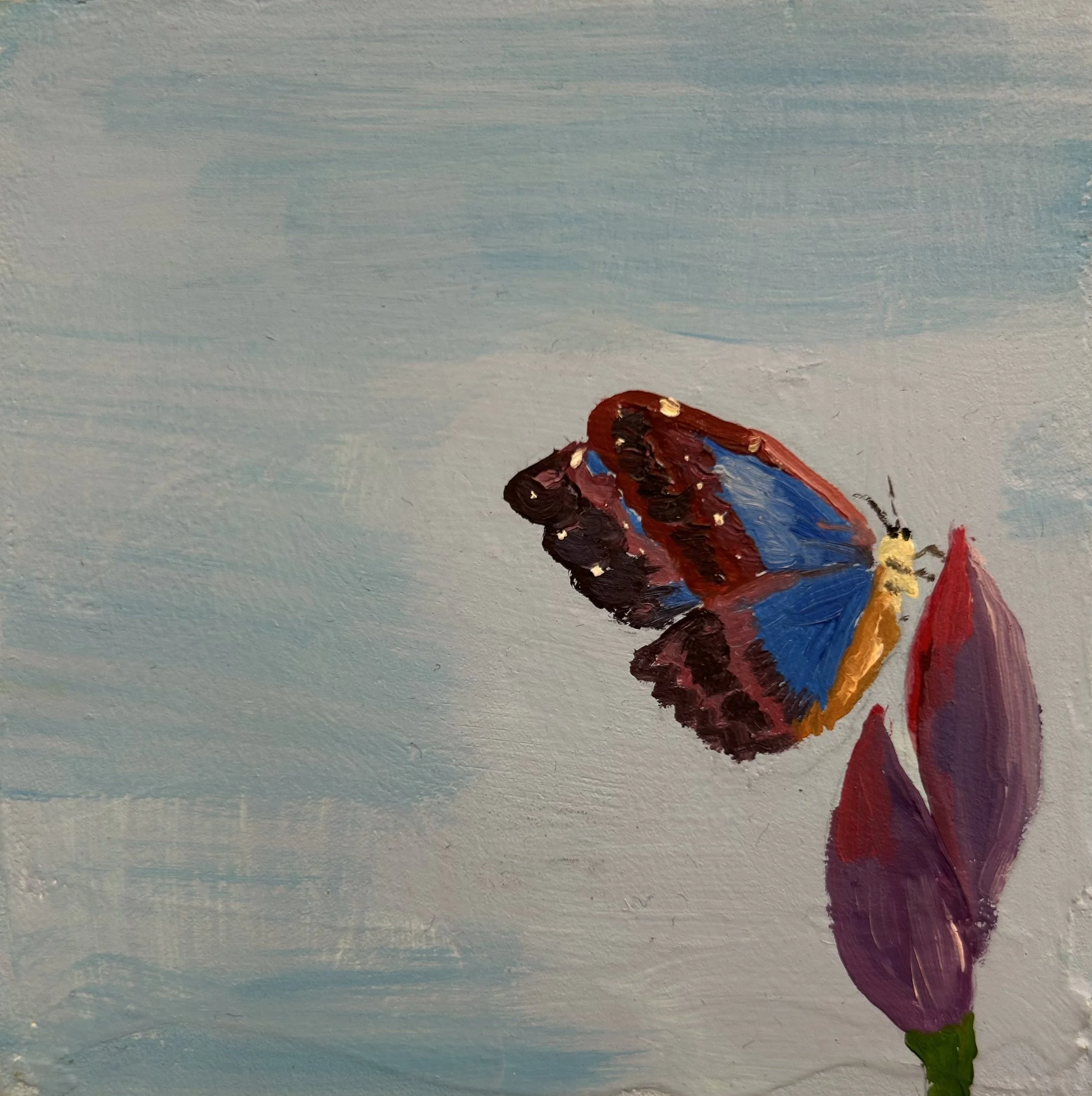 Holland Cunningham, Pollinating, 2026, Oil on board, 4 x 4 inches, 
