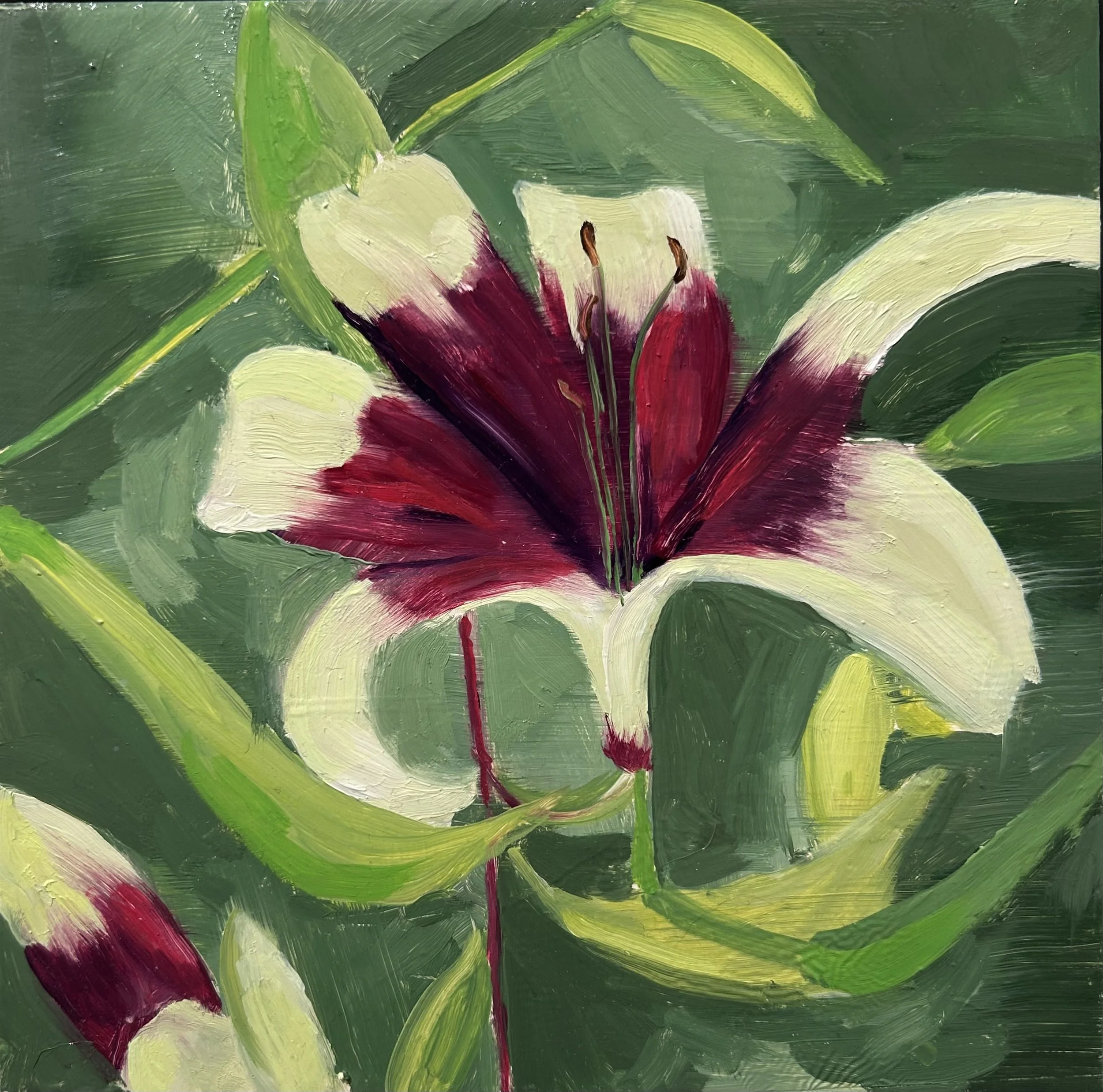 Holland Cunningham, Lily, 2026, Oil on aluminum panel, 8 x 8 inches, 9 x 9 inches Framed