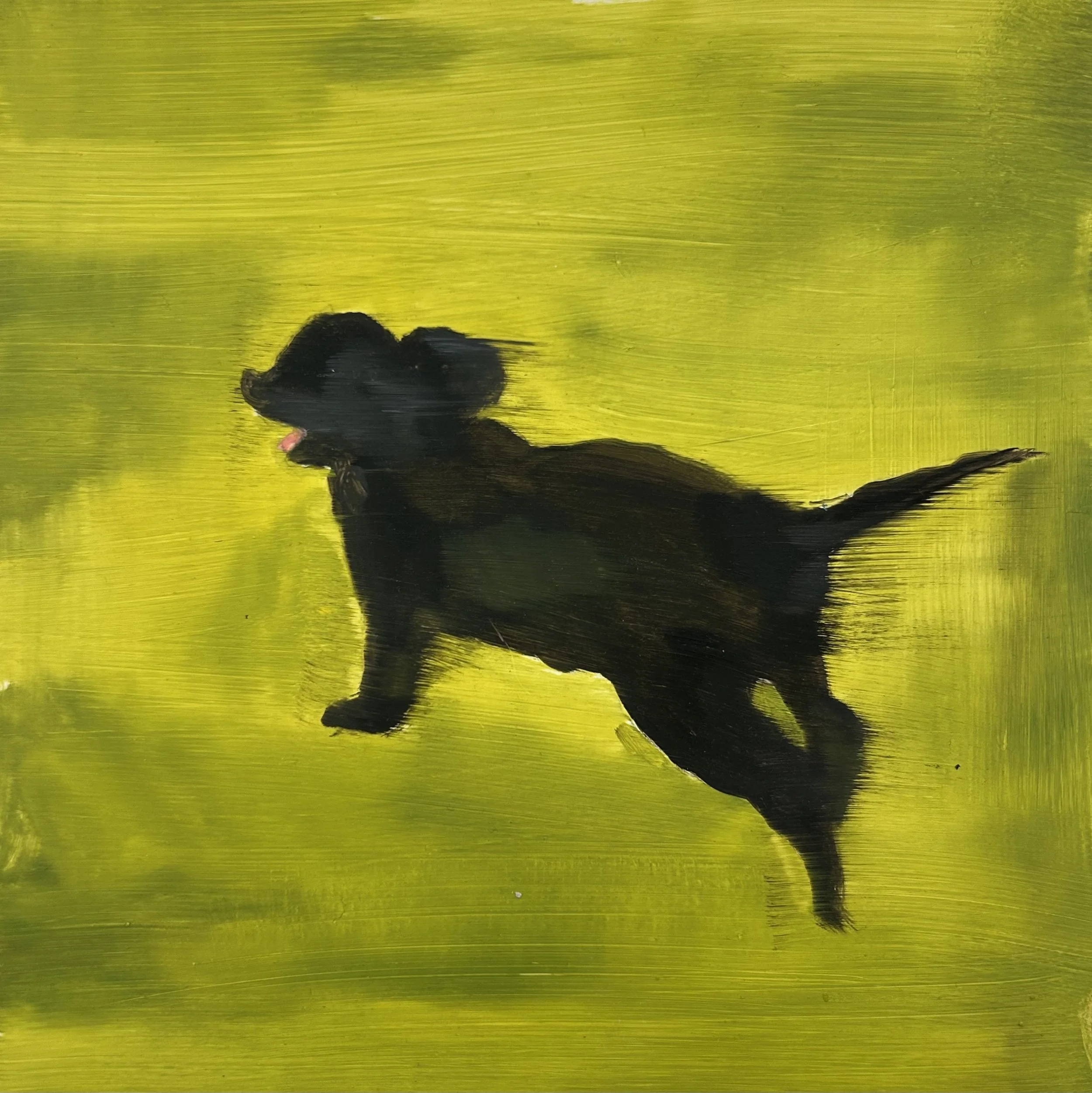 Holland Cunningham, Sophie I, 2025, Oil on board, 8 x 8 inches