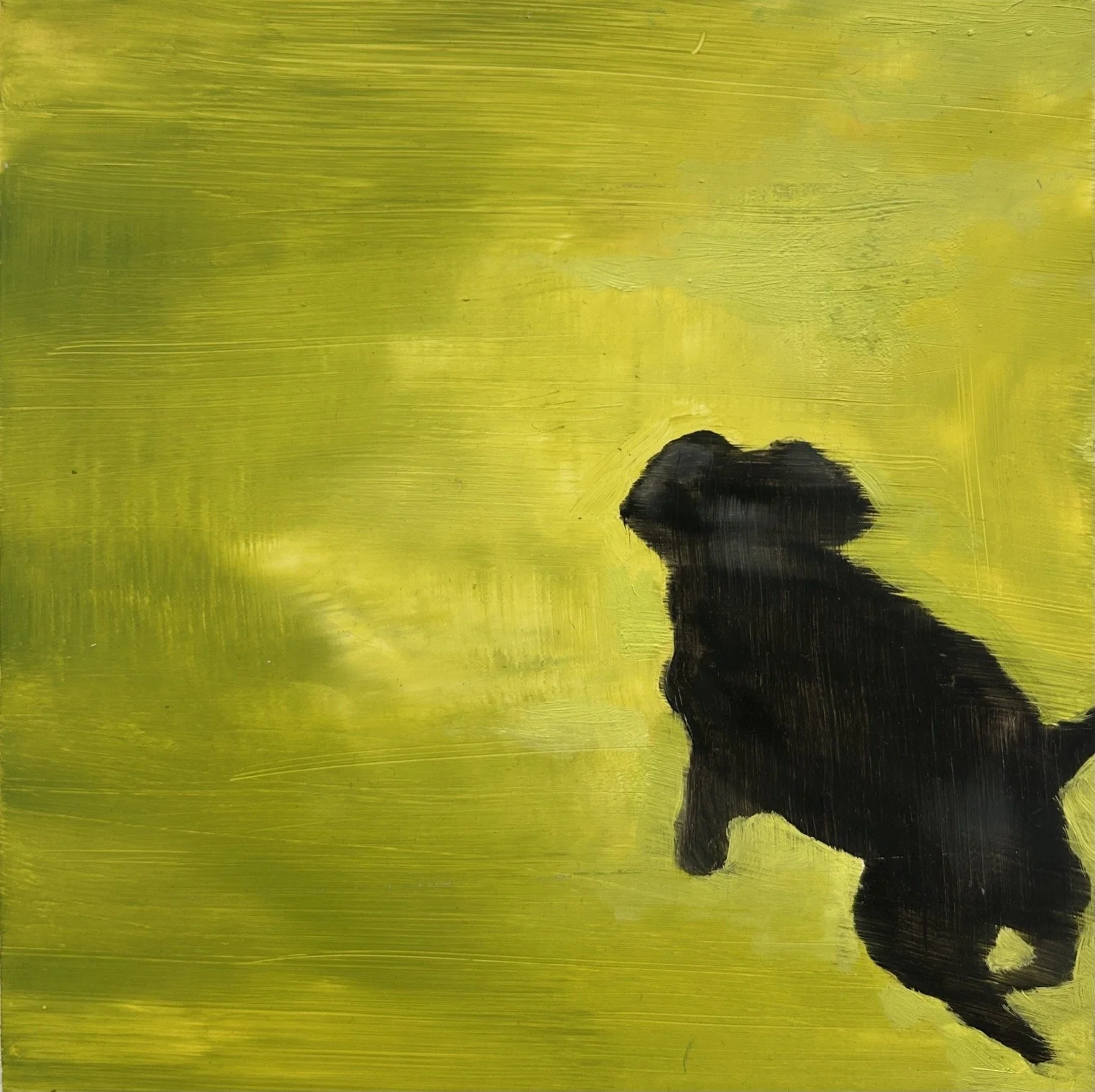 Holland Cunningham, Sophie II, 2025, Oil on board, 8 x 8 inches