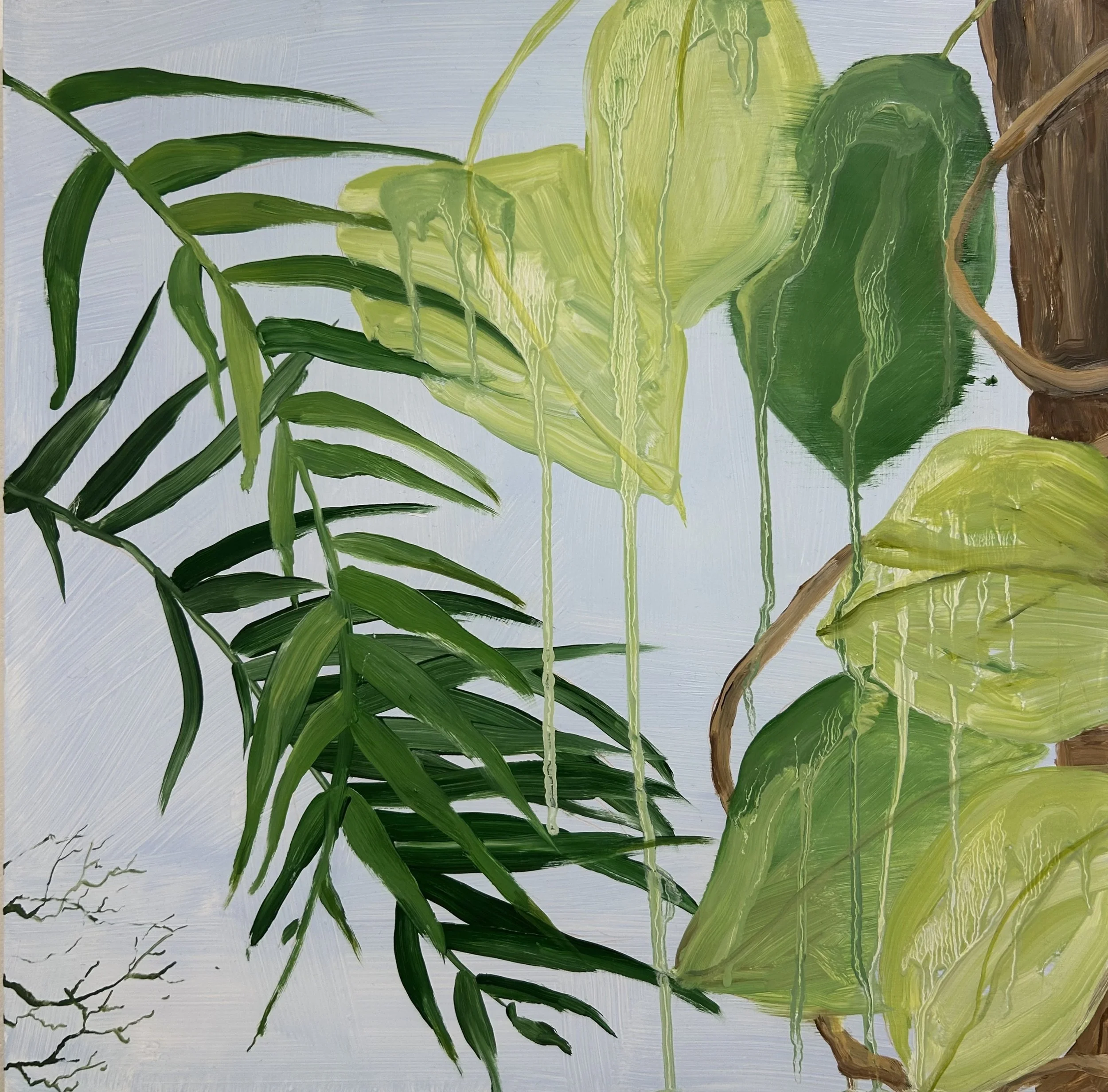 Holland Cunningham, Tropical, 2026, Oil on board, 16 x 16 inches