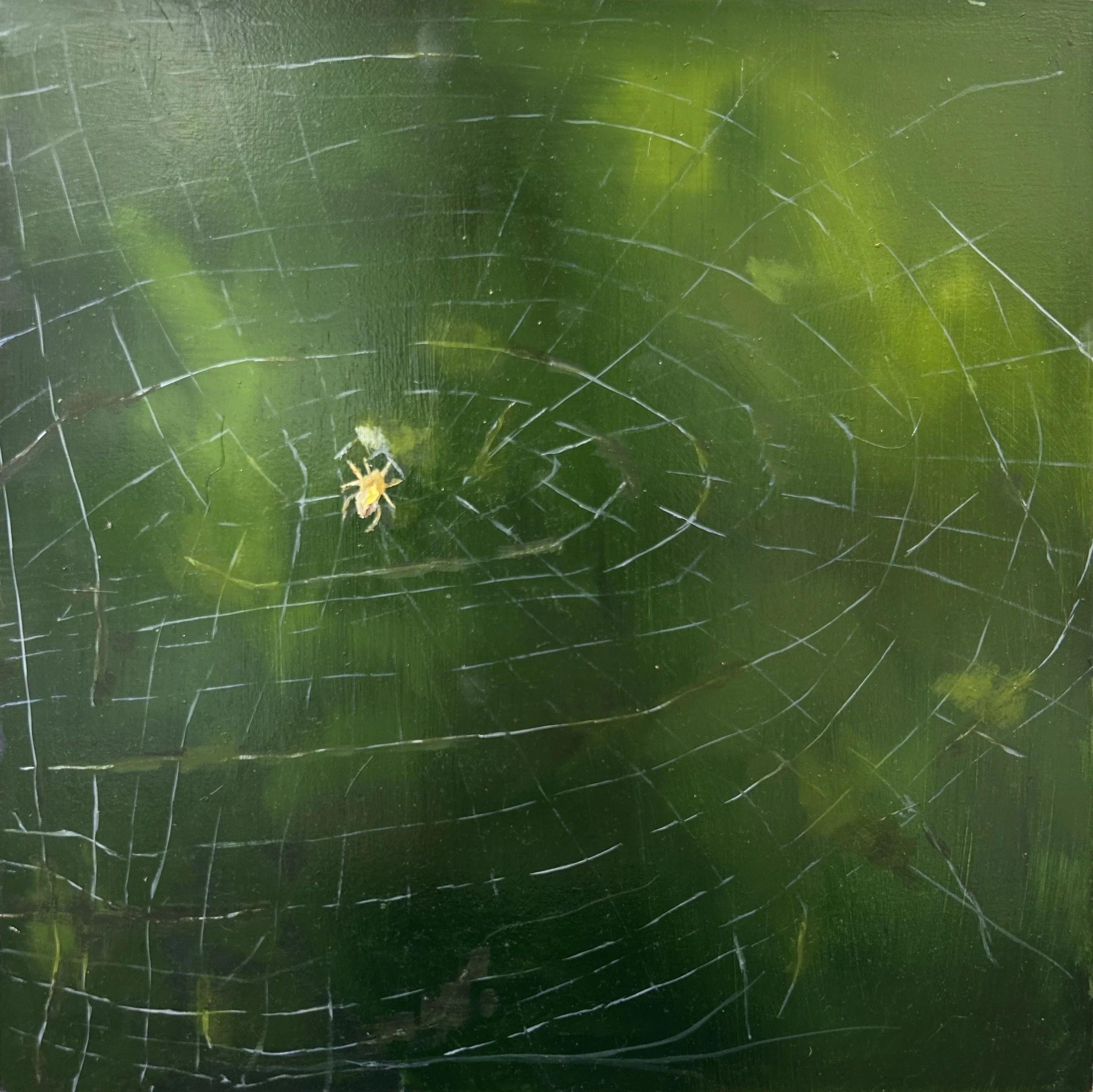 Holland Cunningham, Trap, 2026, Oil on board, 12 x 12 inches