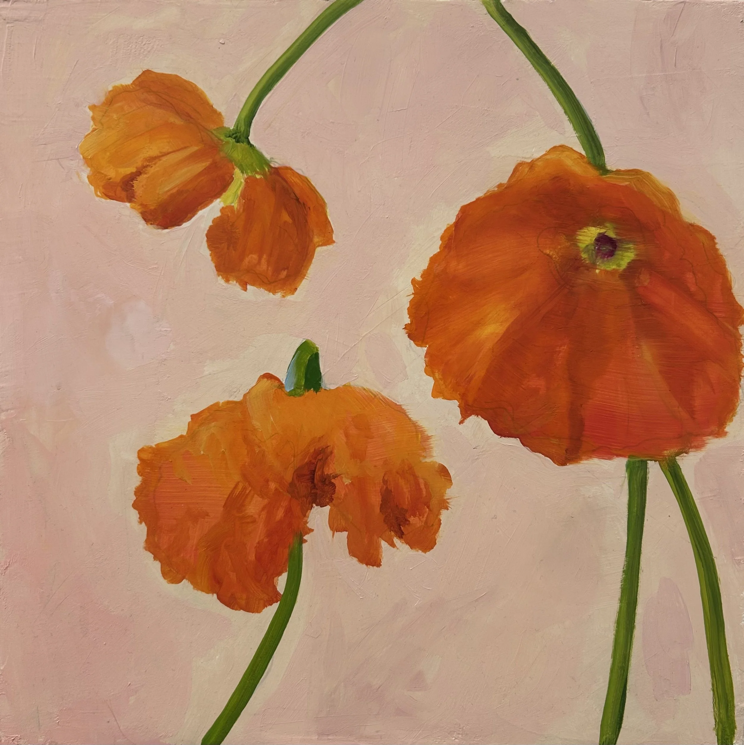 Holland Cunningham, Three Poppies, 2026, Oil on board, 12 x 12 inches