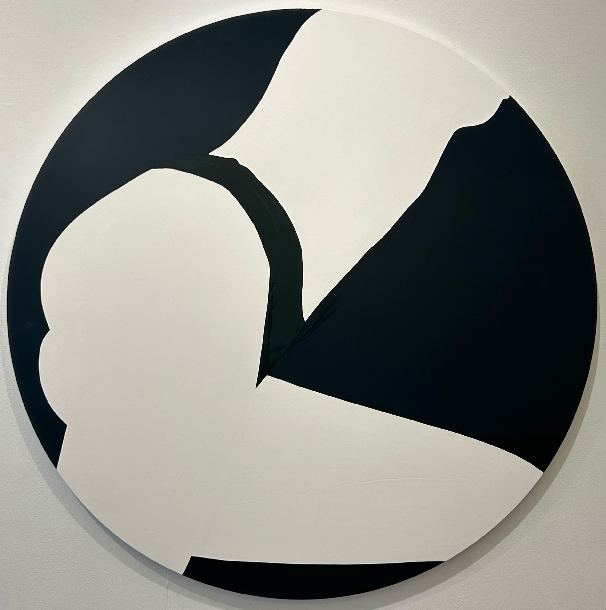 Green Shape on Black, 2026, Gloss on aluminum, 49.2 inches in diameter