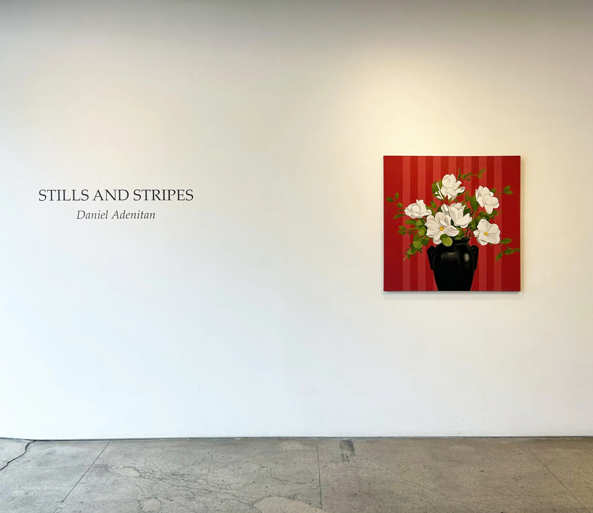 Daniel Adenitan | Stills and Stripes