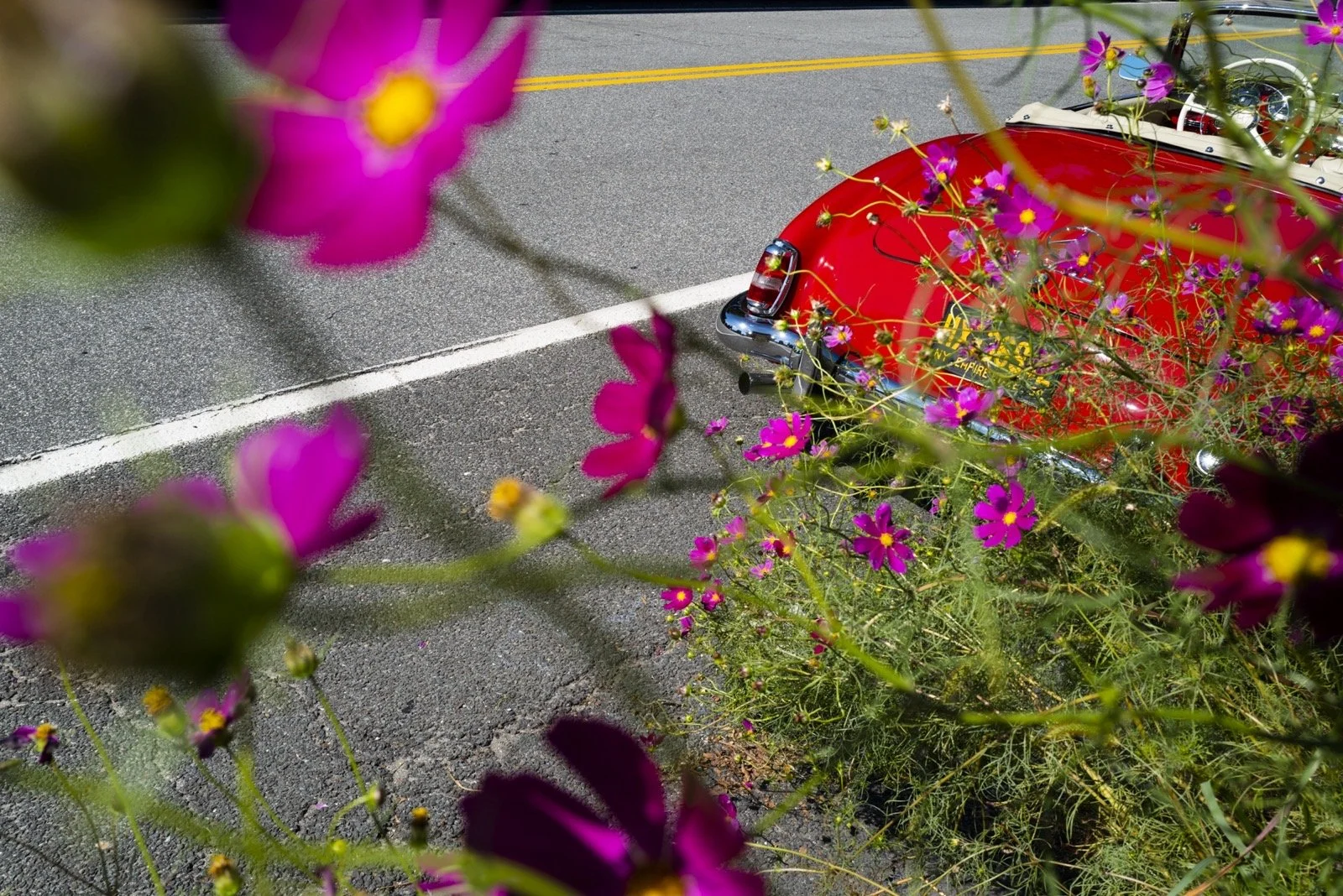 Landon Nordeman, Sunday Drive, Bridgehampton, NY, 2021, Edition 1 of 7, Archival Baryta Paper, 20 x 28 inches