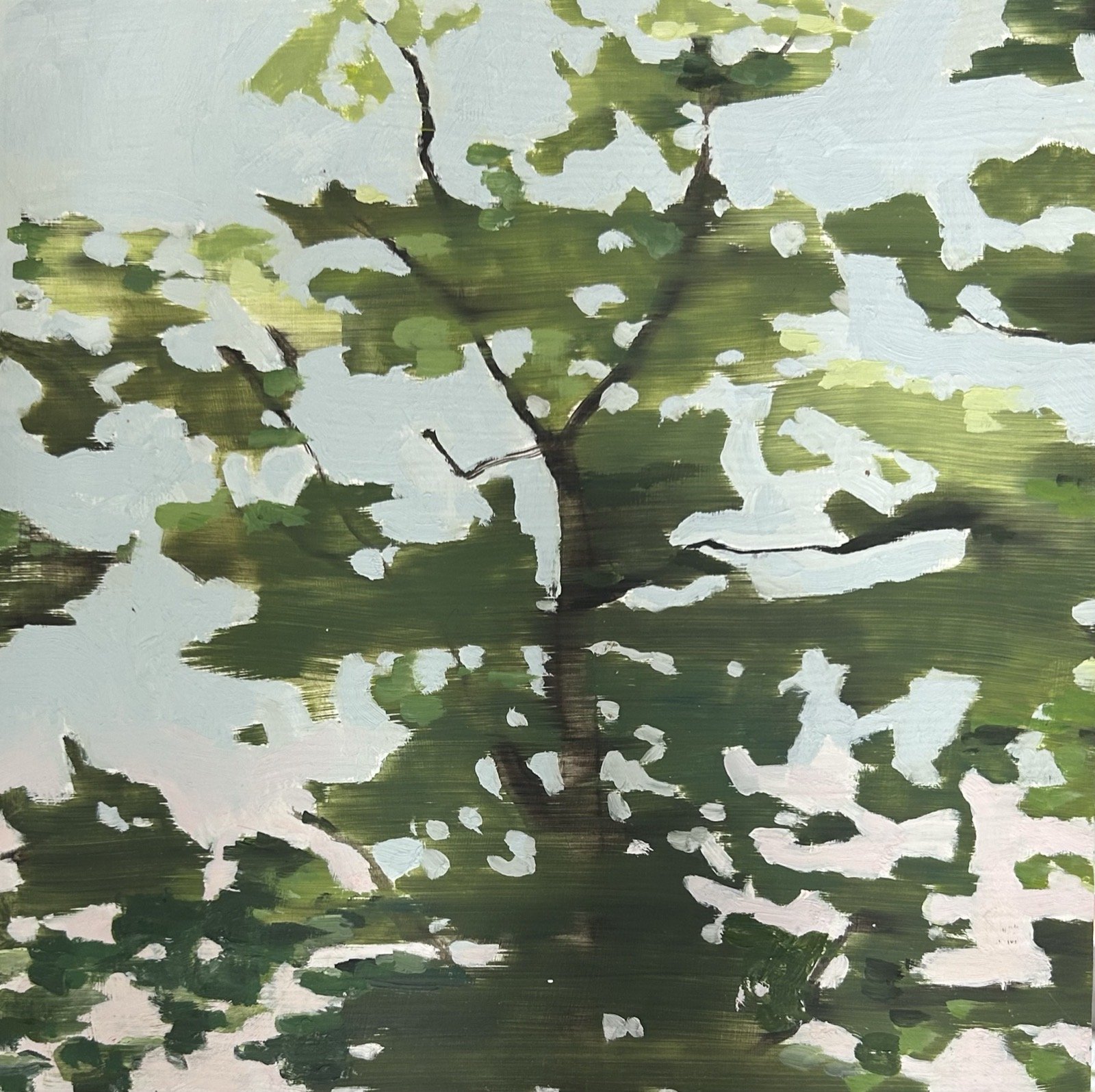 Holland Cunningham, Drive, 2024, Oil on board, 12 x 12 inches