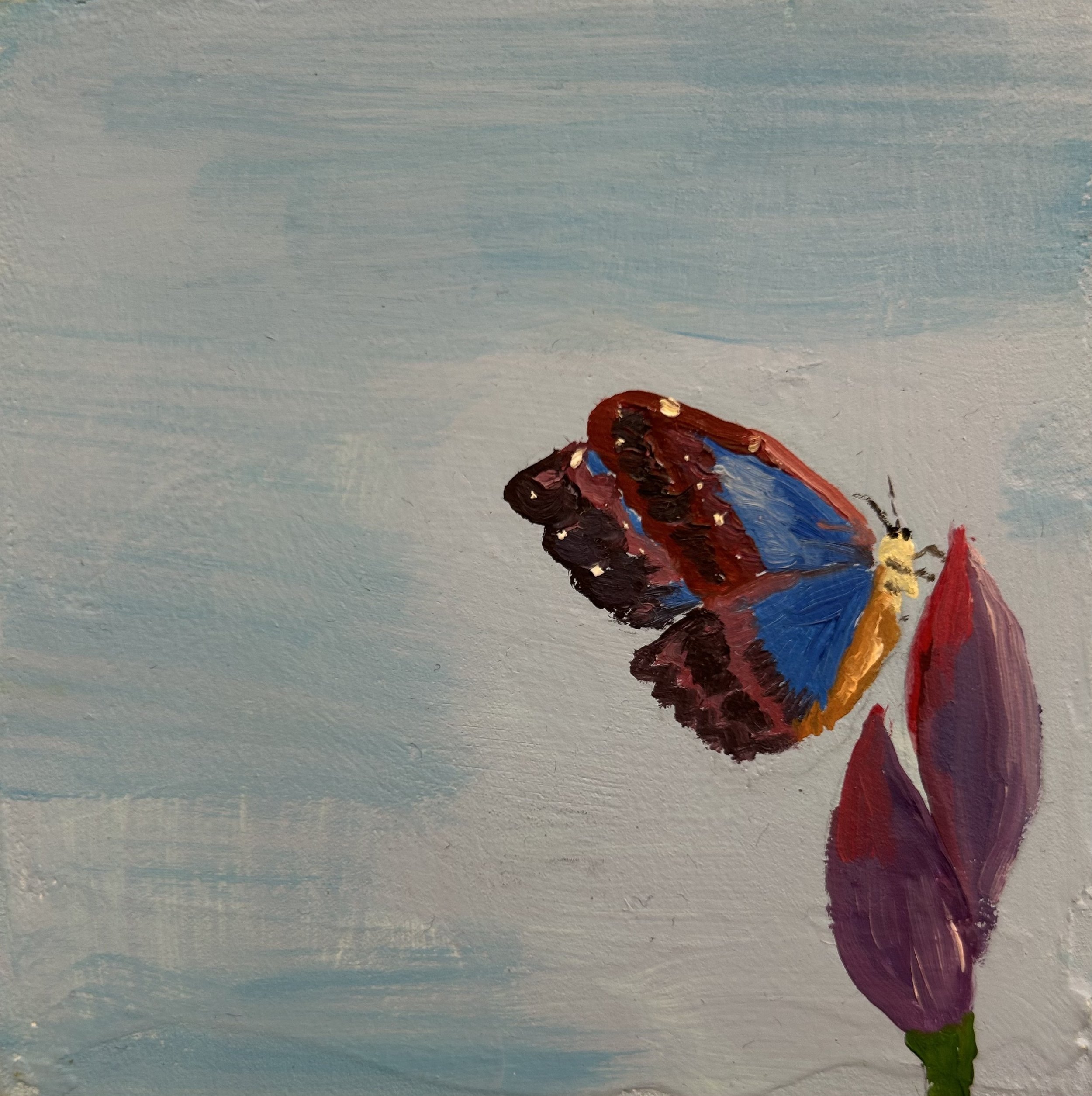 Holland Cunningham, Pollinating, 2026, Oil on board, 4 x 4 inches