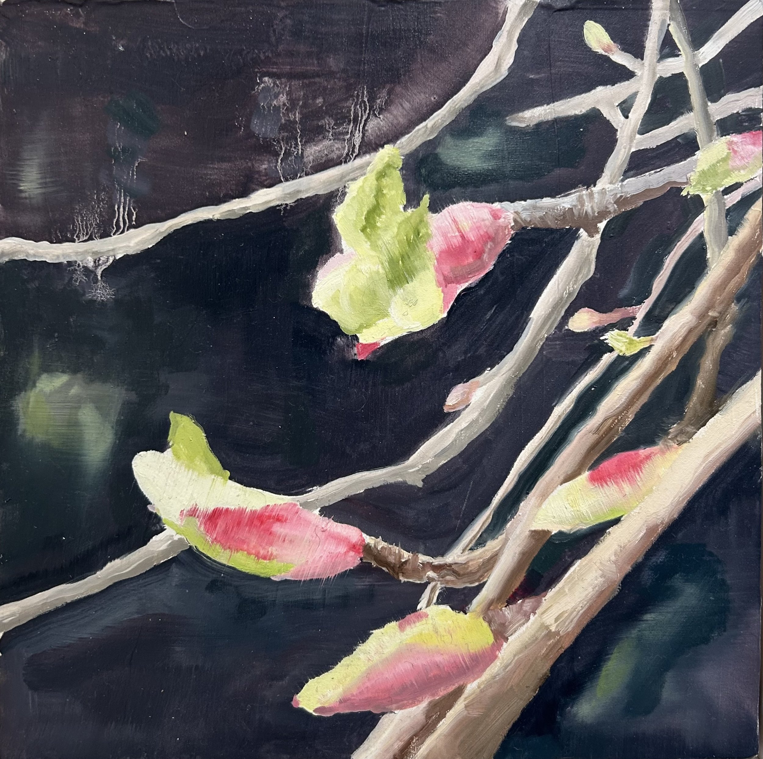 Holland Cunningham, Bud, 2026, Oil on board, 10 x 10 inches, 11 x 11 inches Framed