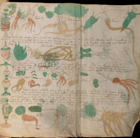 Voynich Manuscript (Supplement  Images)