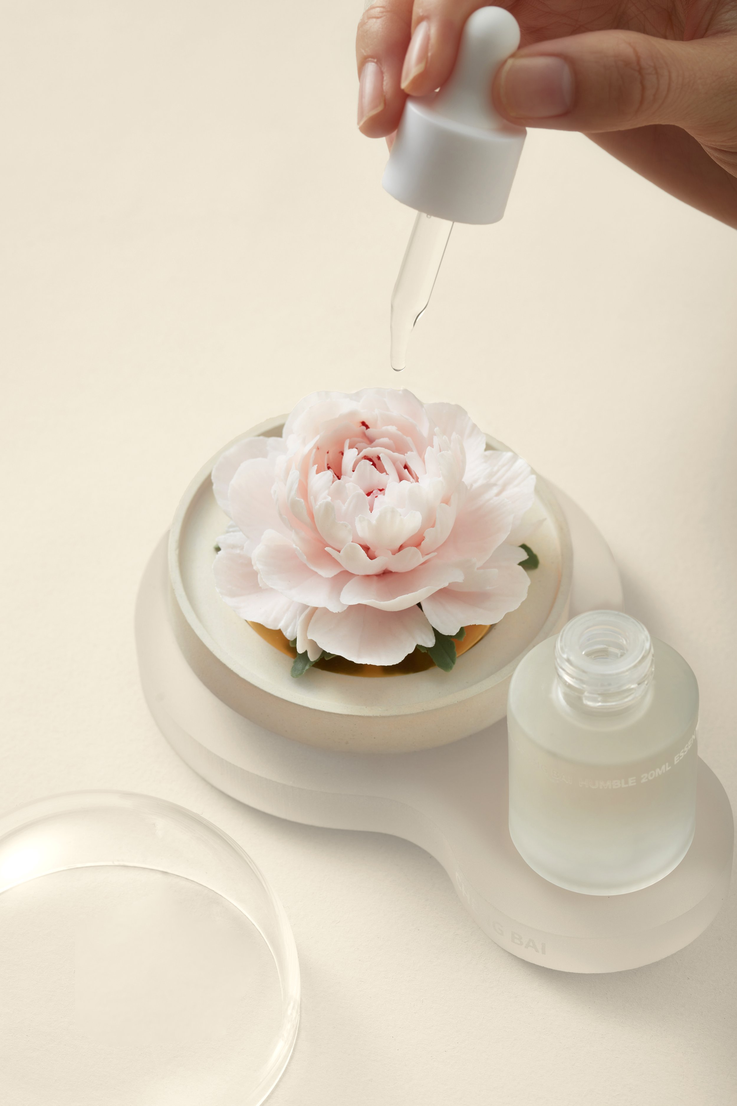 芍药4.jpg