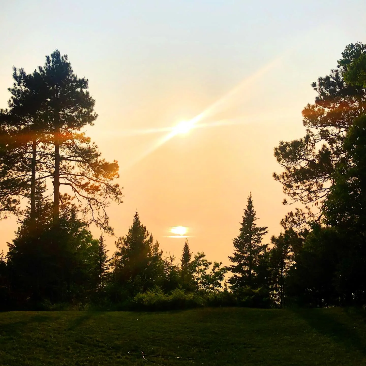 How do orange and yellow light affect our biology?  Orange light is electromagnetic energy with wavelengths ranging from 585 to 620 nanometers, while yellow light spans 570 to 590 nanometers. These wavelengths offer surface-level effects that modulat