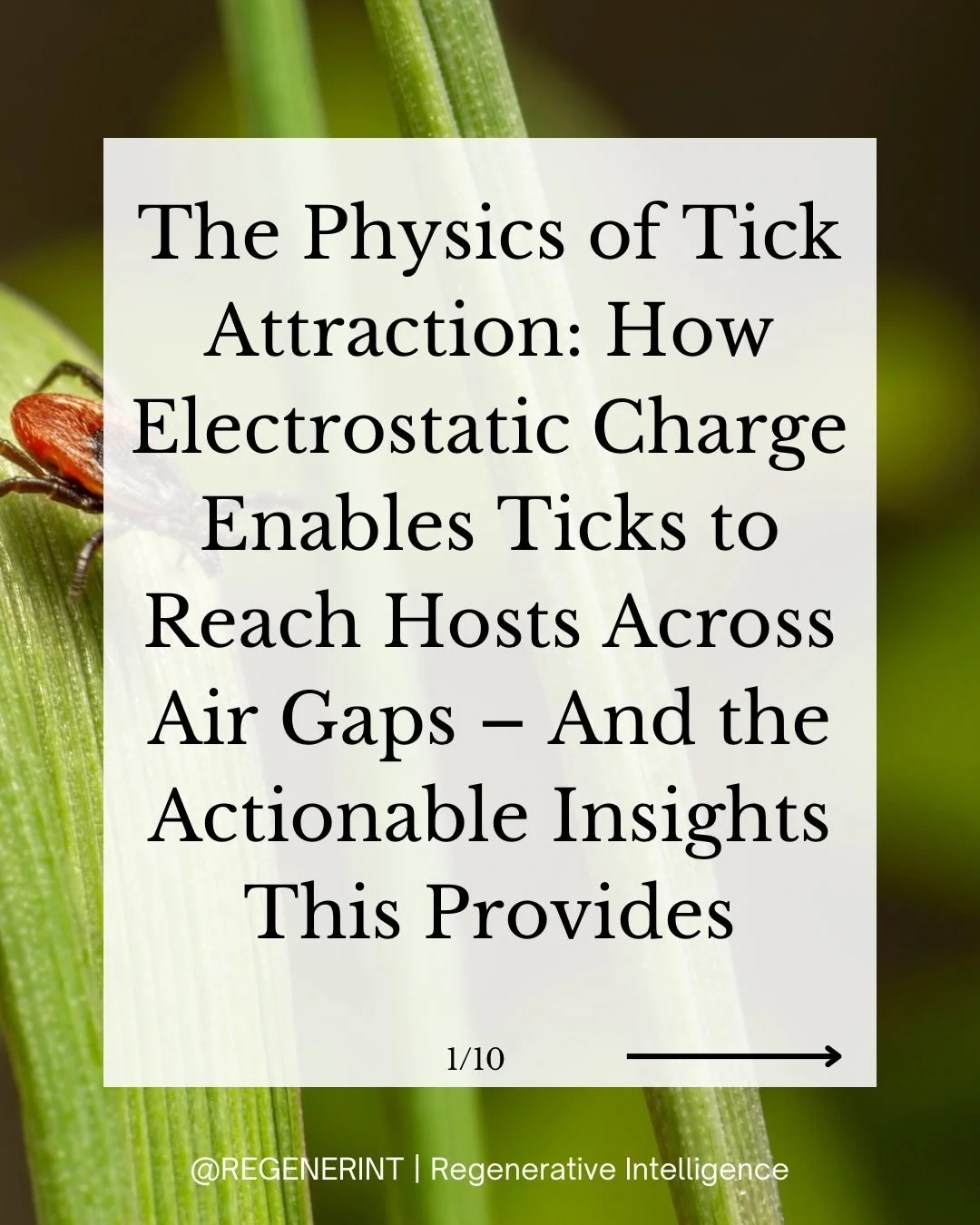 You don&rsquo;t need to physically brush up against a tick on a blade of grass for it to end up attached to you.

But a tick can&rsquo;t jump, so how does it cross the air gap from the grass onto a host?

The answer is static electricity.

Read my ar